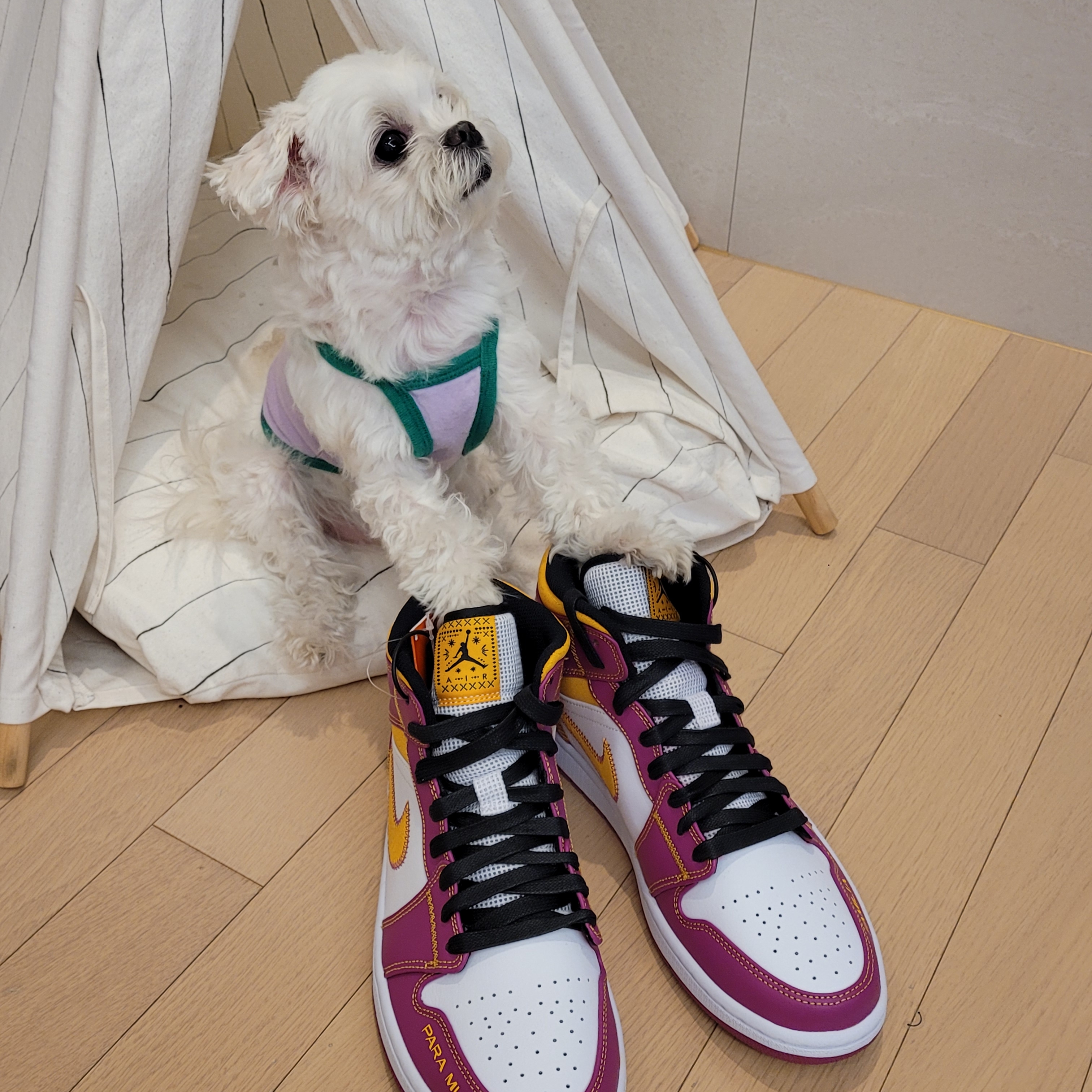 Jordan 1 Mid DOD Familia 착용 스타일 - 1