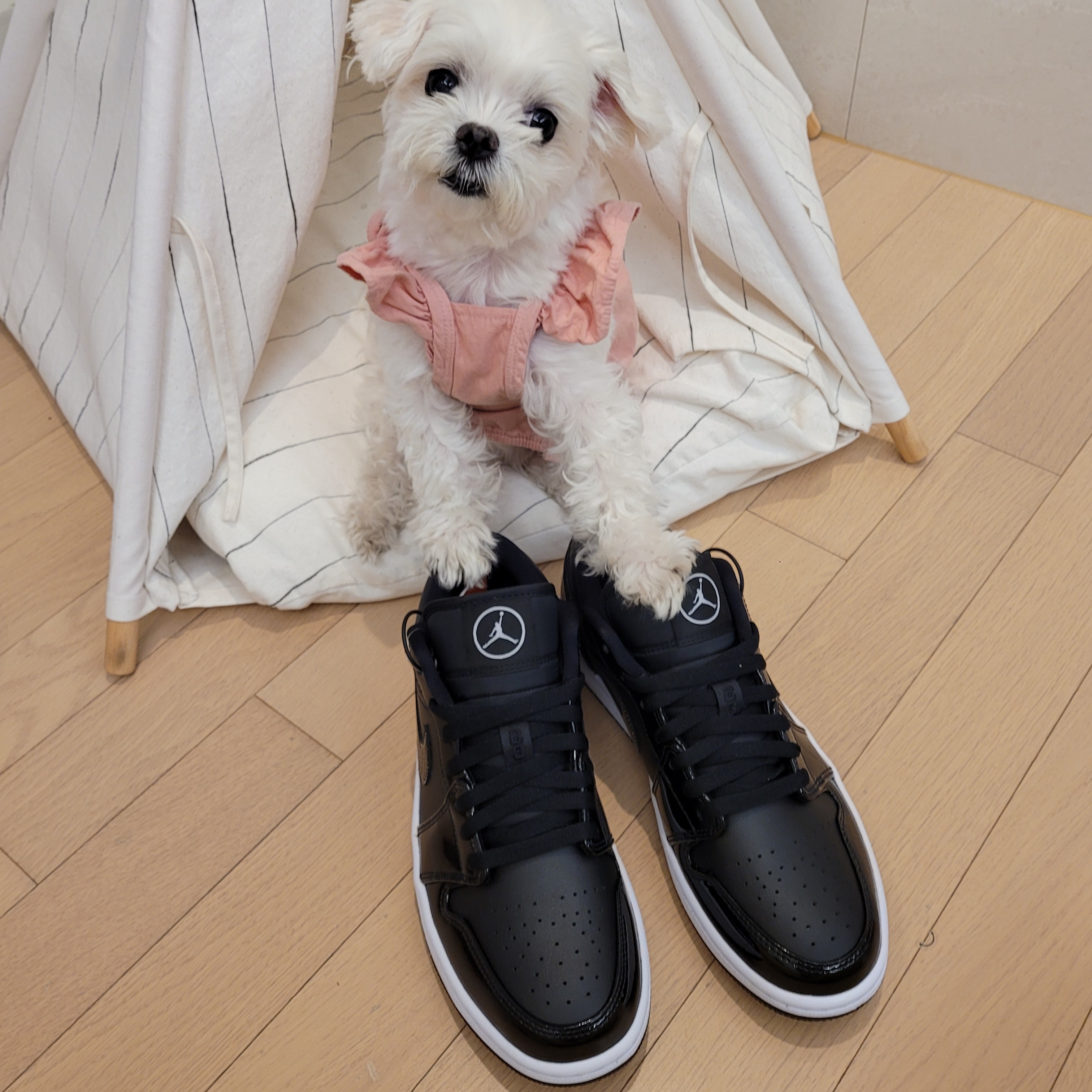 Jordan 1 Low SE ASW Black 착용 스타일 - 3