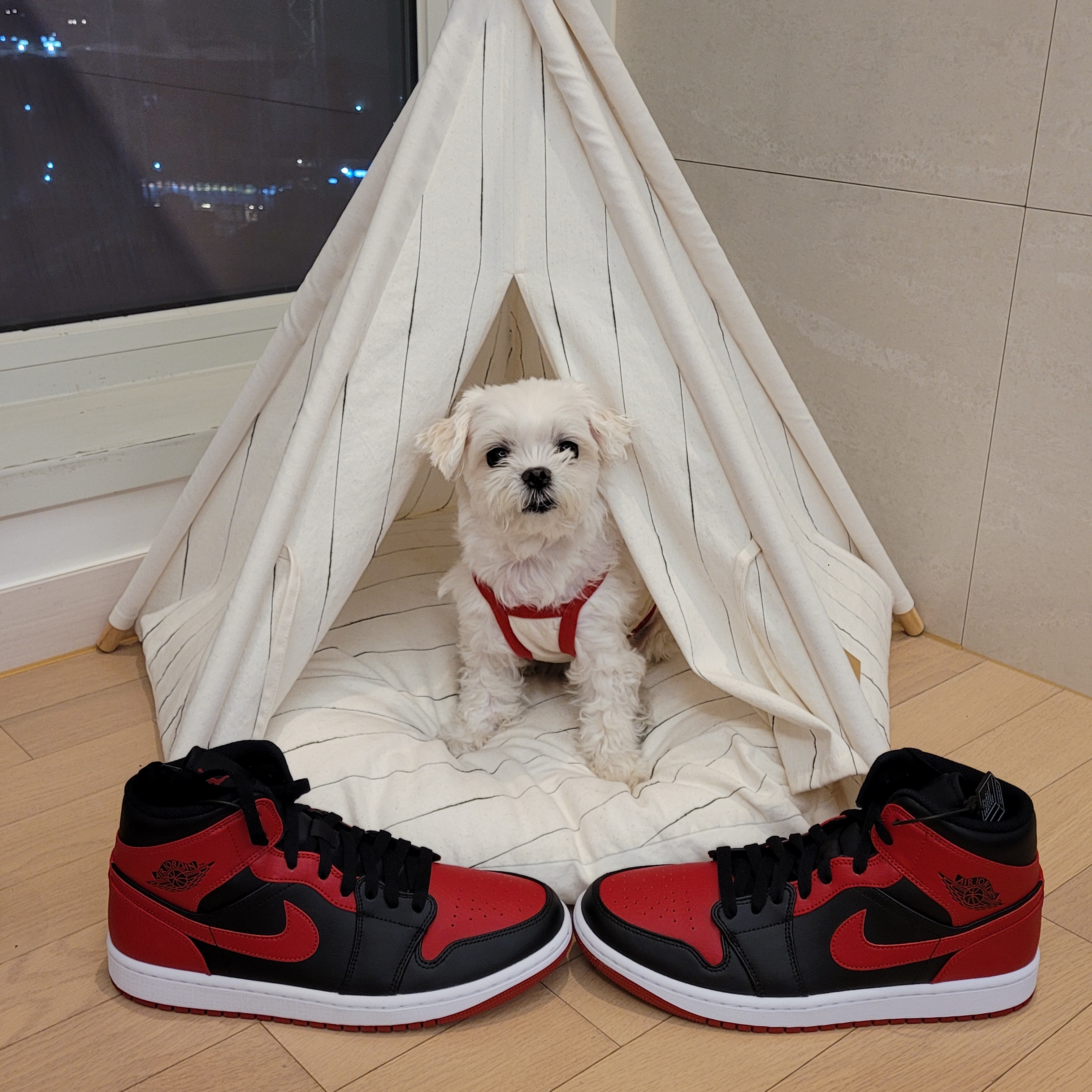Jordan 1 Mid Bred Banned 2020 착용 스타일 - 3