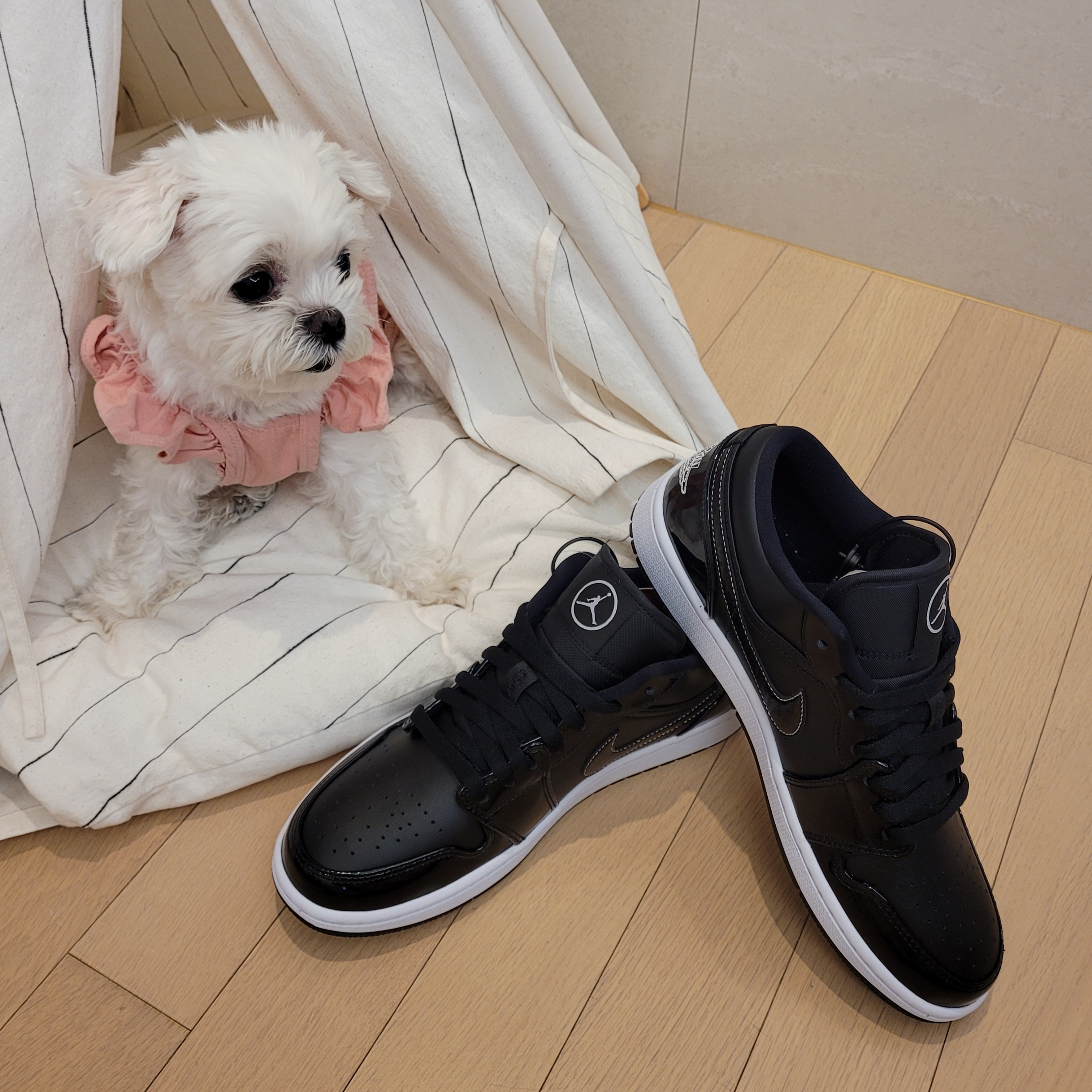 Jordan 1 Low SE ASW Black 착용 스타일 - 2