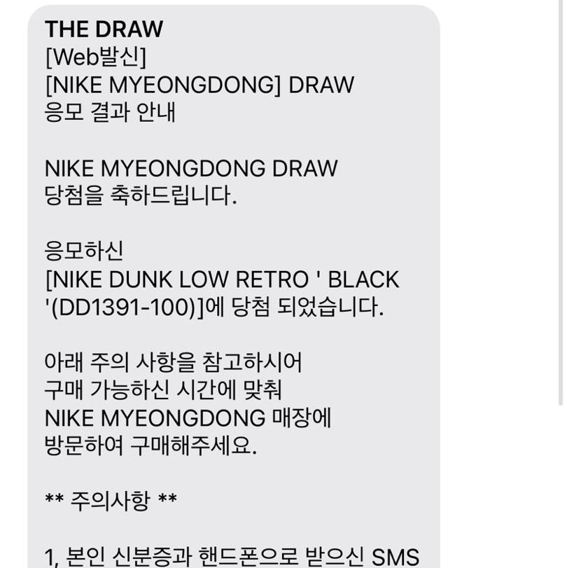 Nike Dunk Low Retro Black 착용 스타일