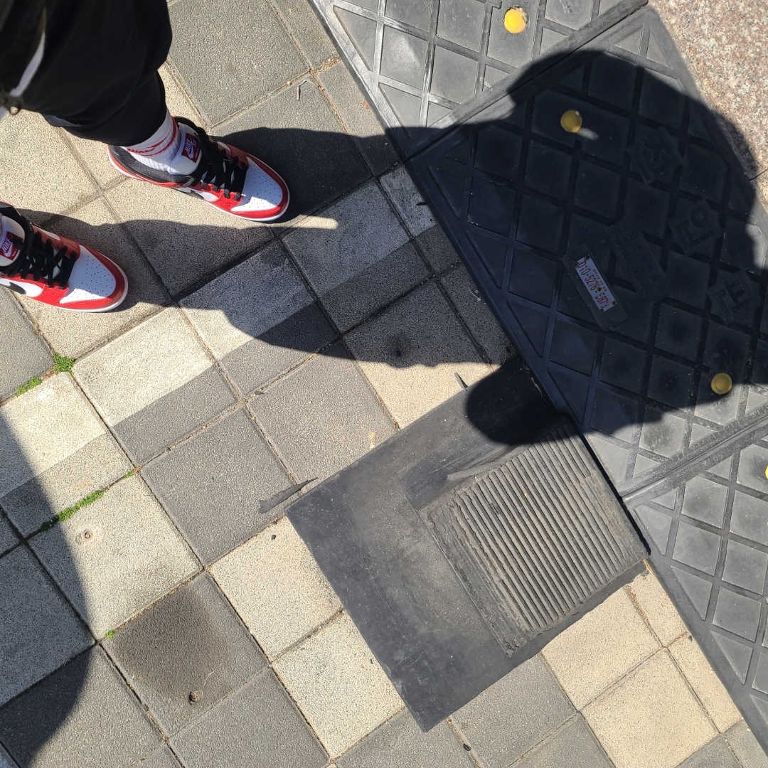 Nike SB Dunk Low Pro Chicago 착용 스타일 - 2