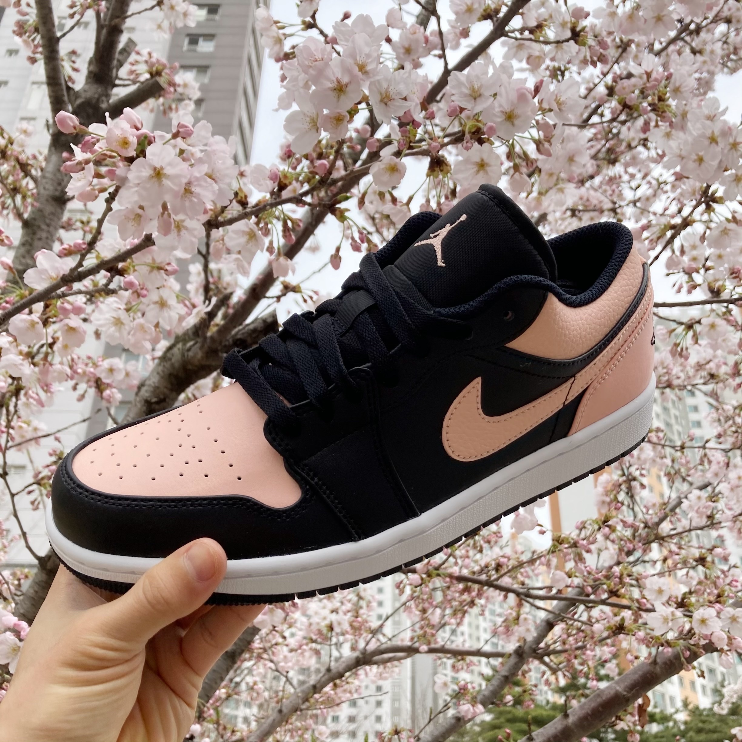Jordan 1 Low Crimson Tint 착용 스타일