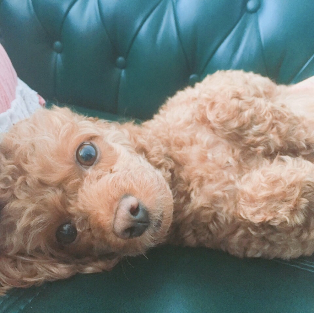 KREAM 프로필 이미지