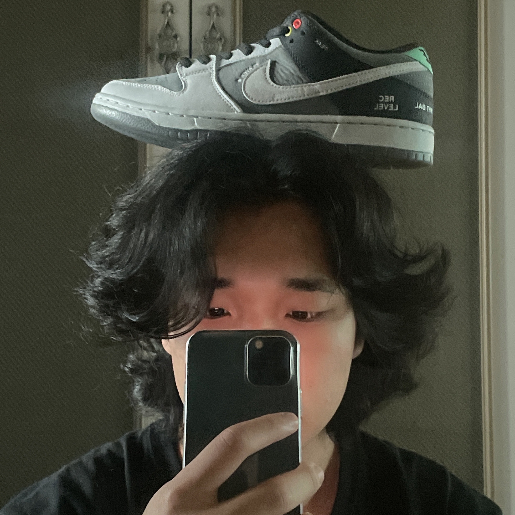 Nike SB Dunk Low Pro Camcorder 착용 스타일