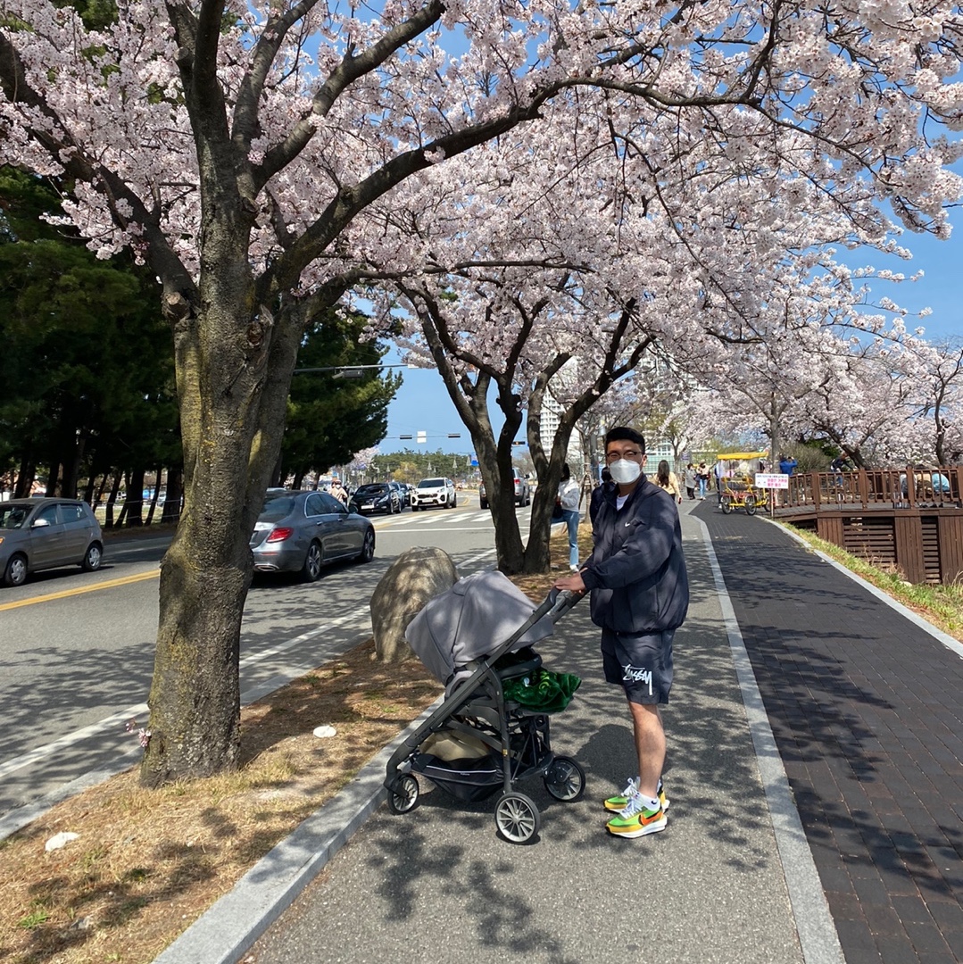 Nike x Sacai LDWaffle Green Multi, Nike x Stussy Windrunner Jacket Off Noir 착용 스타일