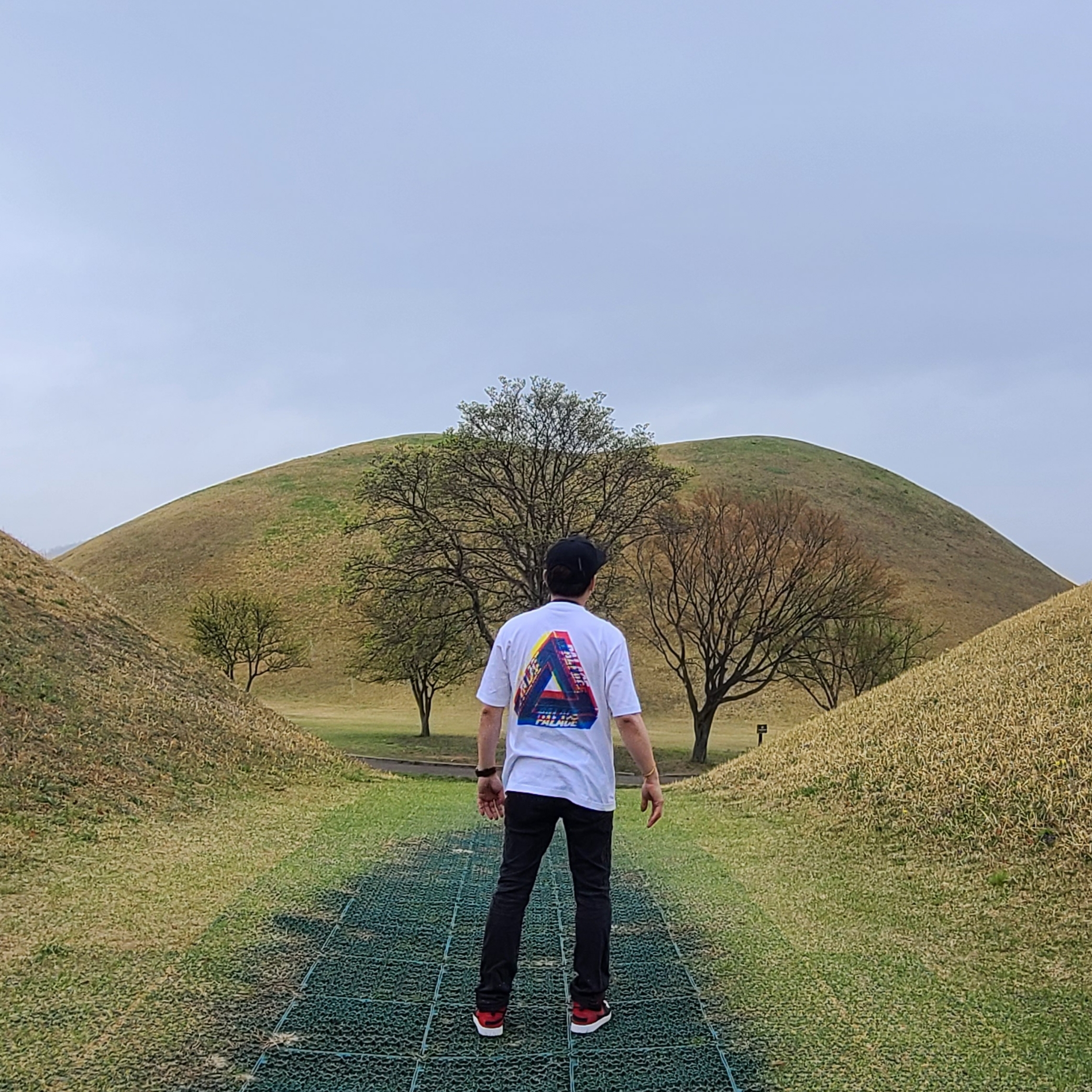 Palace Tri-Ferg Colour Blur T-Shirt White - 20FW, Jordan 1 High FlyEase Bred White Toe 착용 스타일 - 1