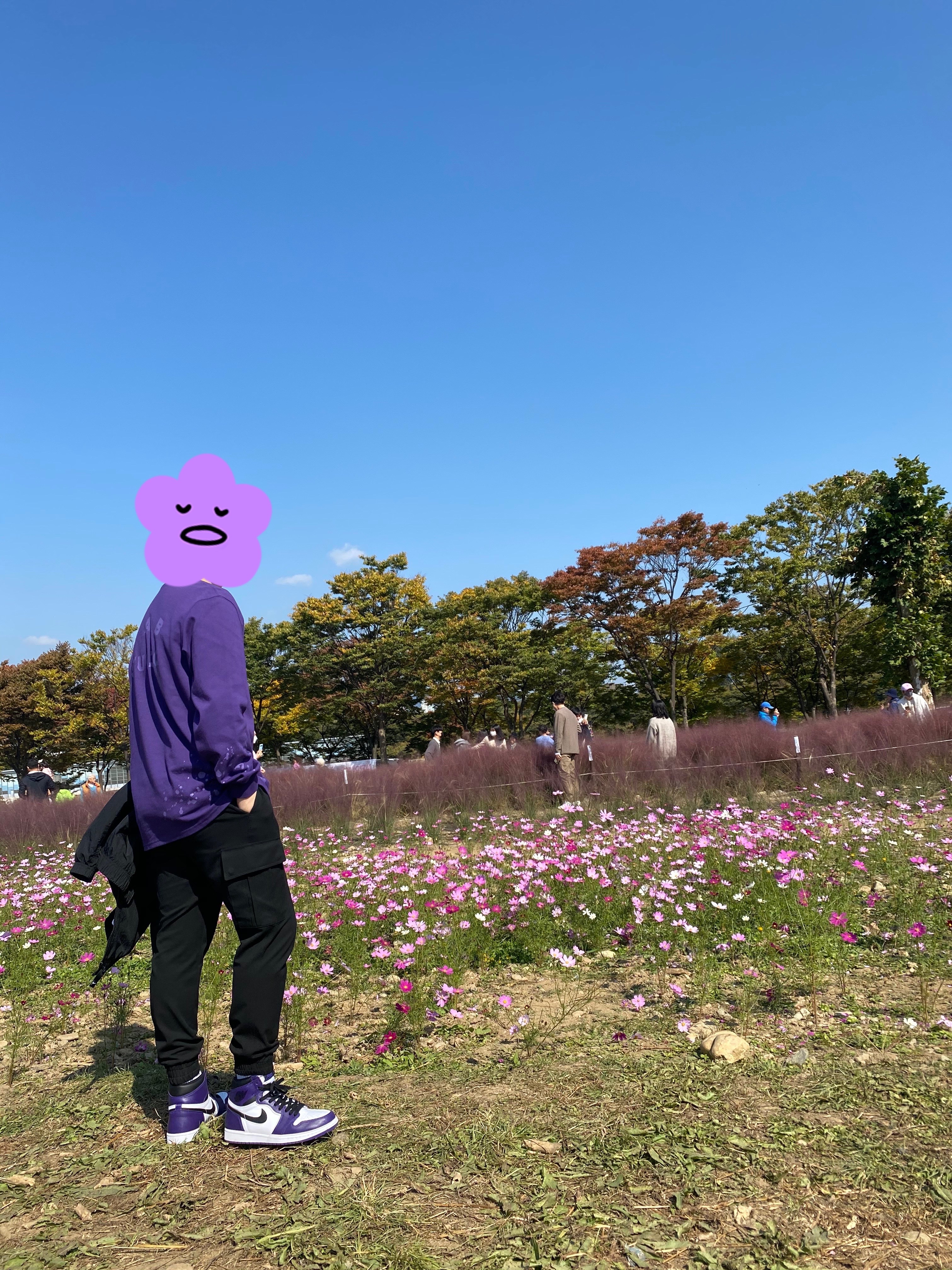 IAB Studio Long Sleeve T-Shirt Purple Splashed, Jordan 1 Retro High OG Court Purple 2020 착용 스타일