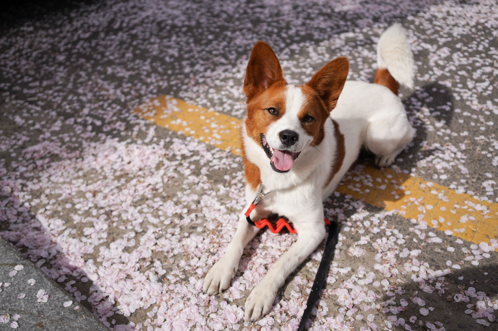 관심 유저 프로필 이미지