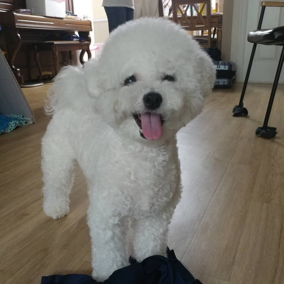 hmyang99님의 스타일