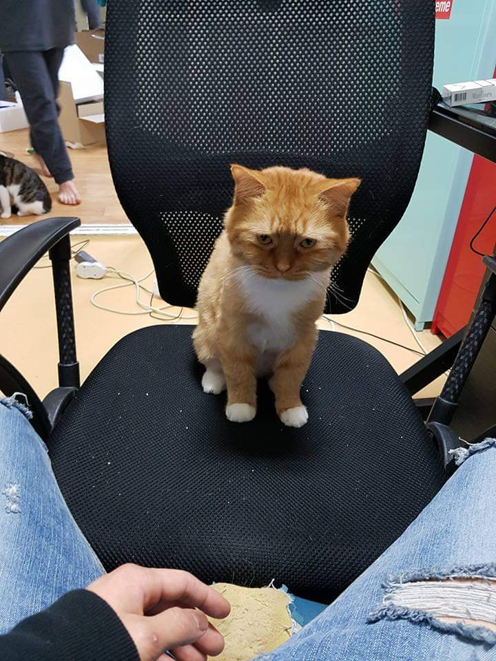 KREAM 프로필 이미지