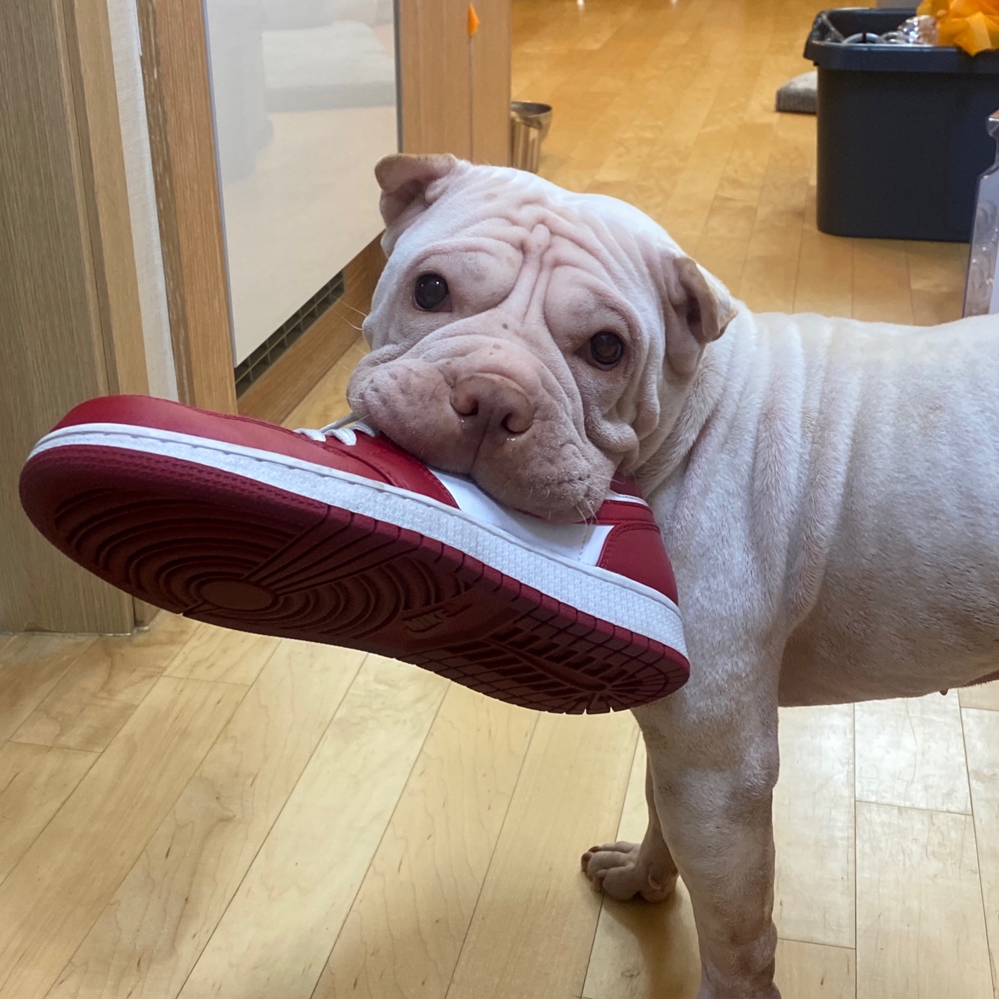 Jordan 1 Low Gym Red White 착용 스타일