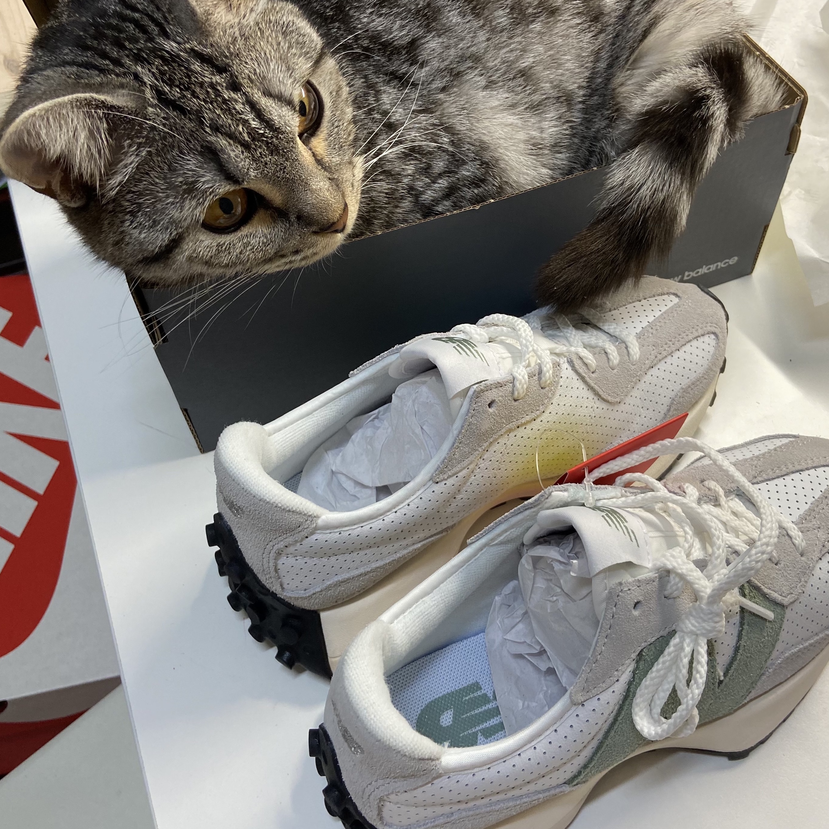 (W) New Balance 327 Grey Green - JD Sports Exclusive 착용 스타일
