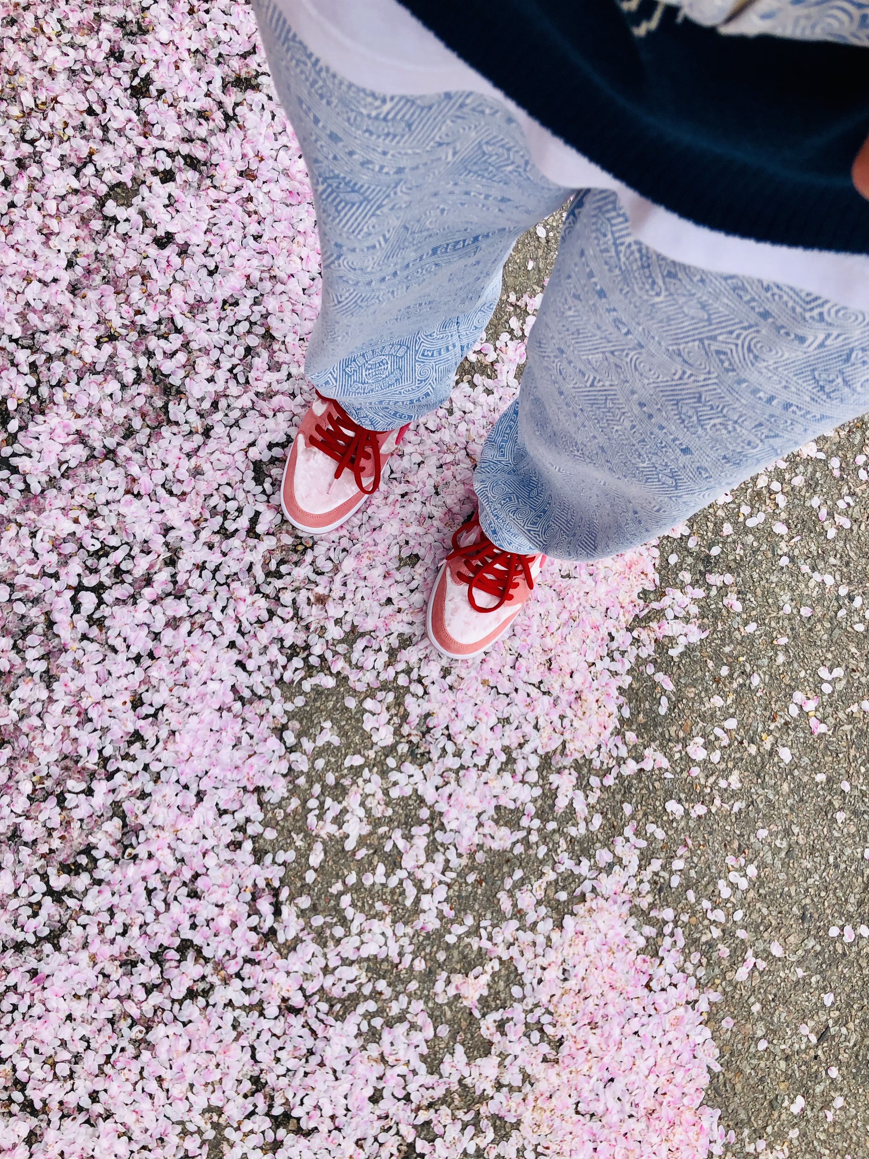 Nike x StrangeLove SB Dunk Low Pink (Regular Box) 착용 스타일 - 4