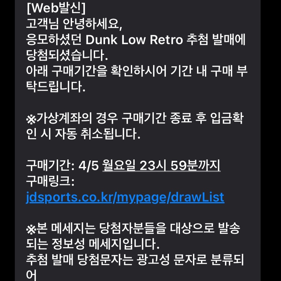 Nike Dunk Low Retro Black 착용 스타일