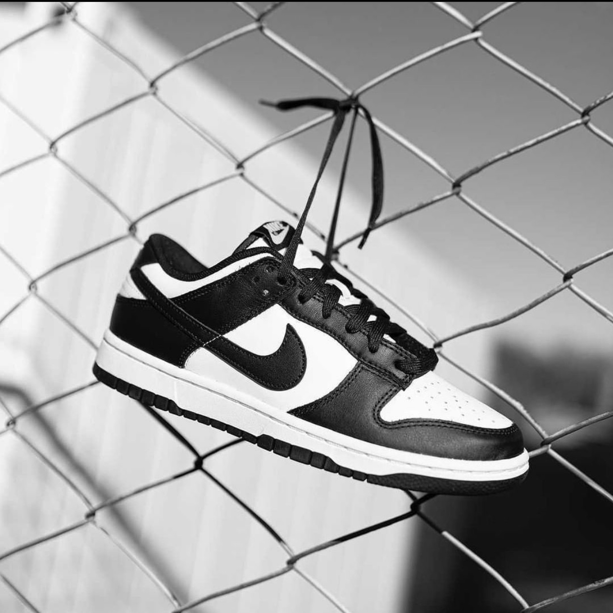 (W) Nike Dunk Low Black, Nike Dunk Low Retro Black 착용 스타일 - 3