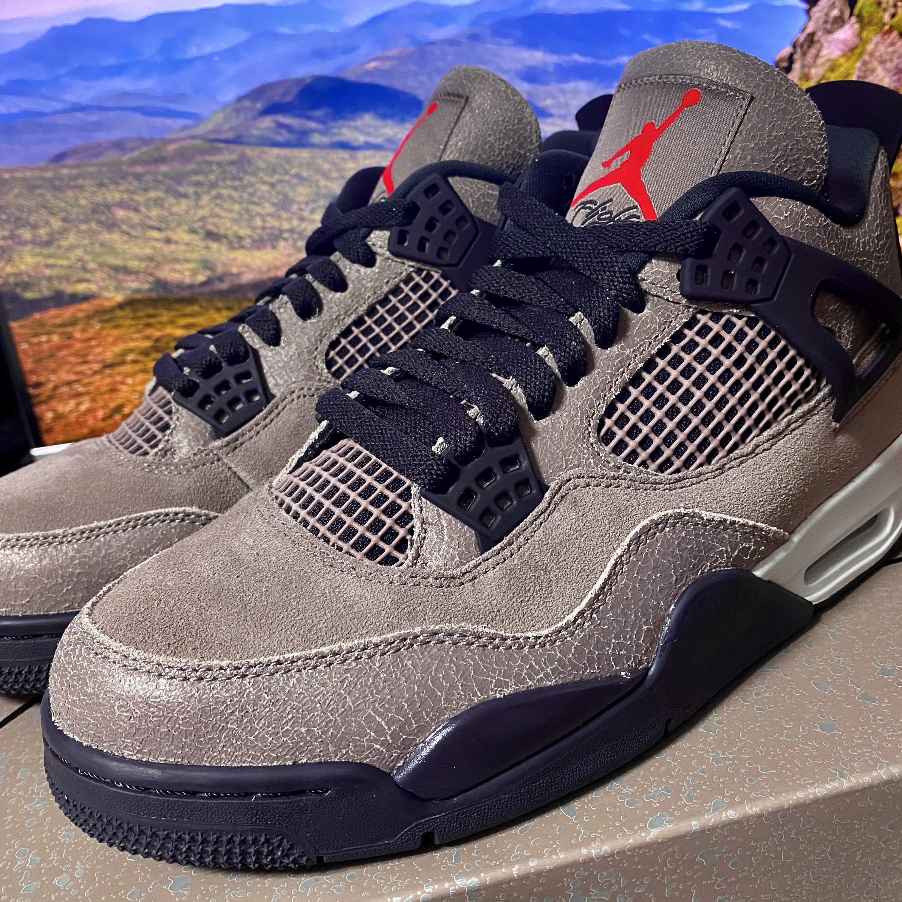 Jordan 4 Retro Taupe Haze 착용 스타일
