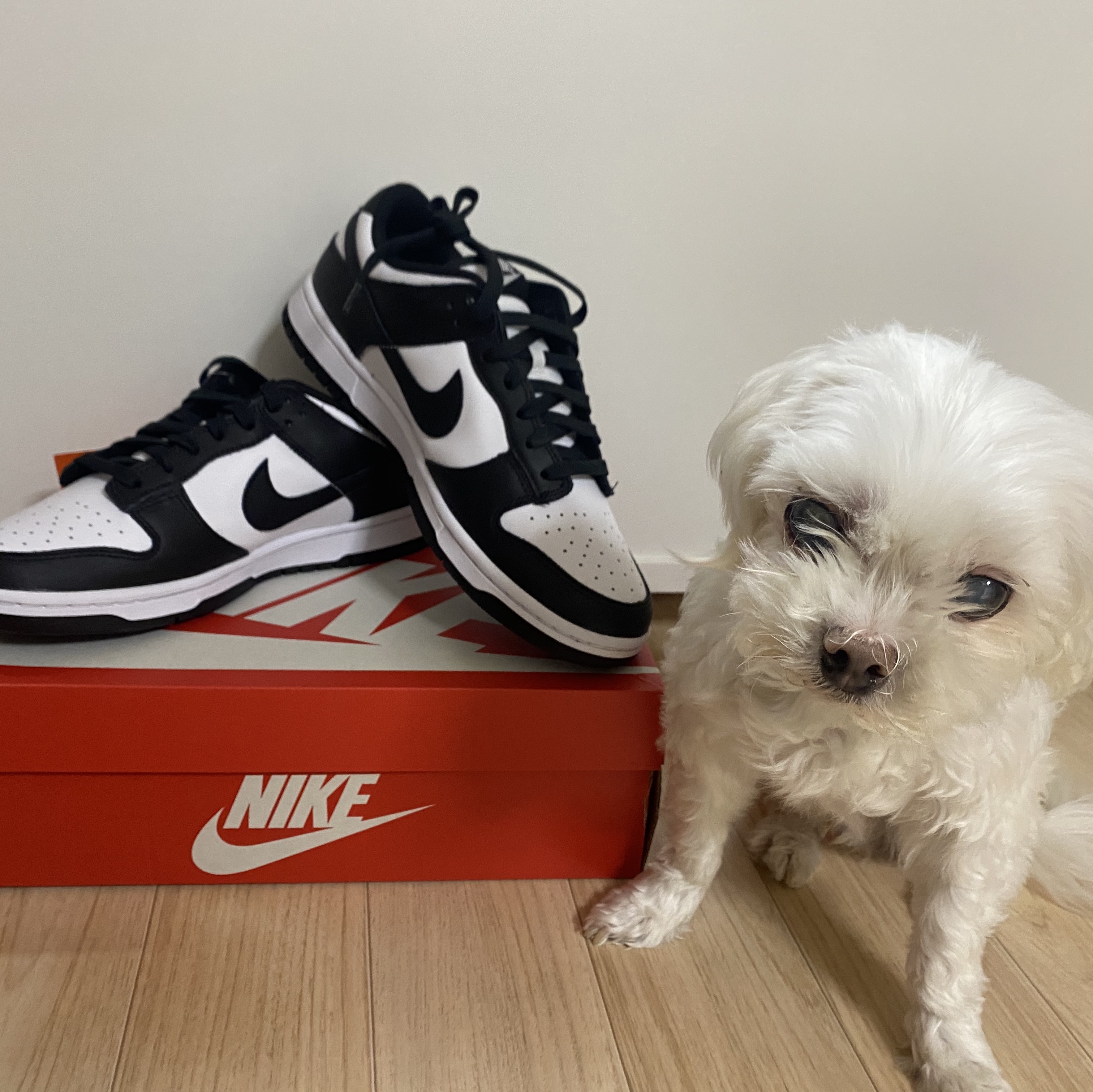 Nike Dunk Low Retro Black 착용 스타일