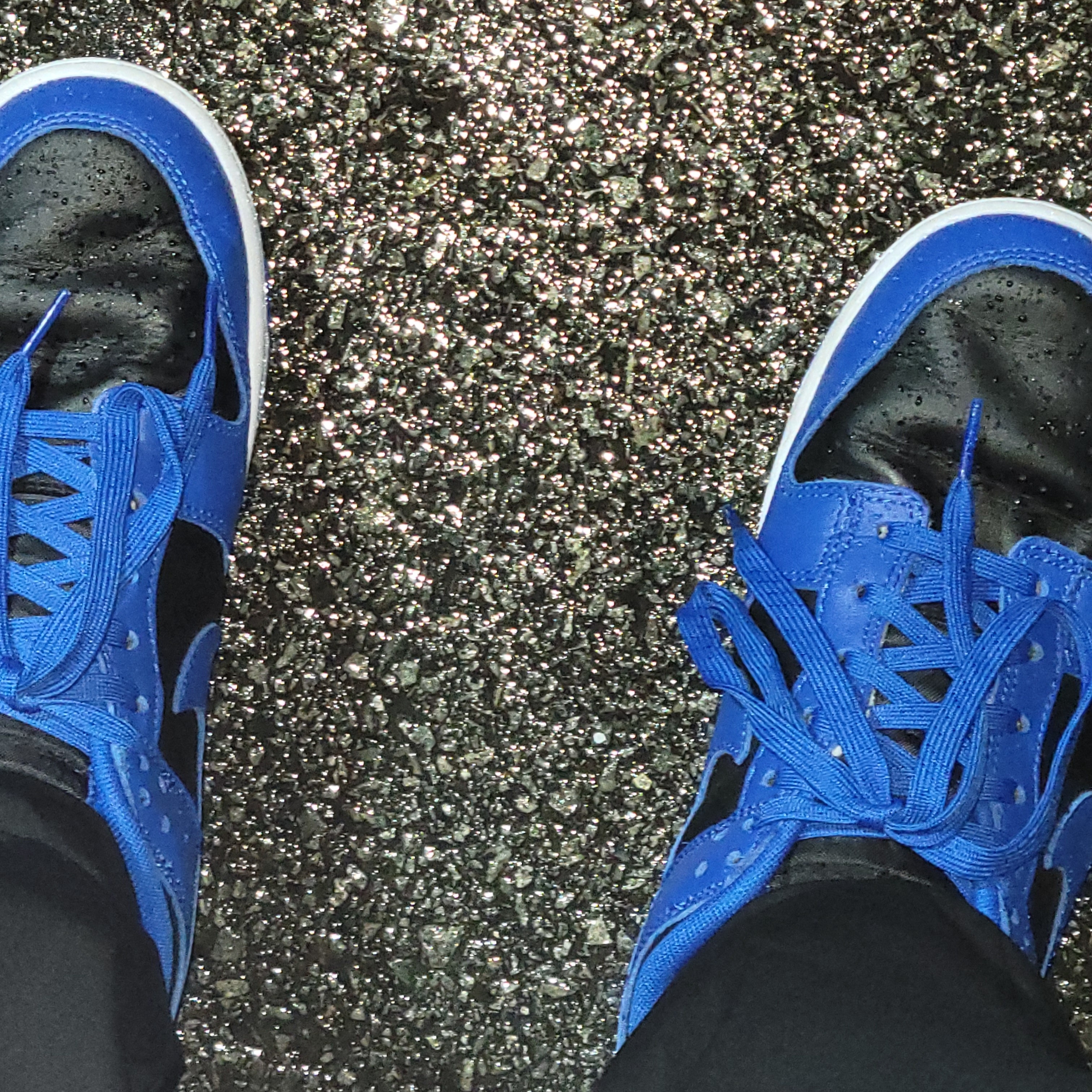 Nike Dunk Low Retro Hyper Cobalt, Palace JCDC2 Hood Blue - 20SS 착용 스타일 - 3