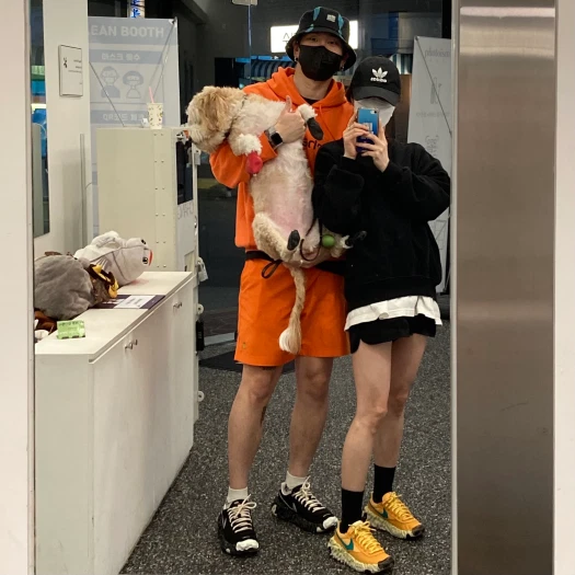 스타일 카드