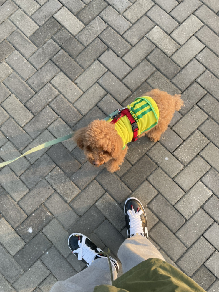 KREAM 프로필 이미지