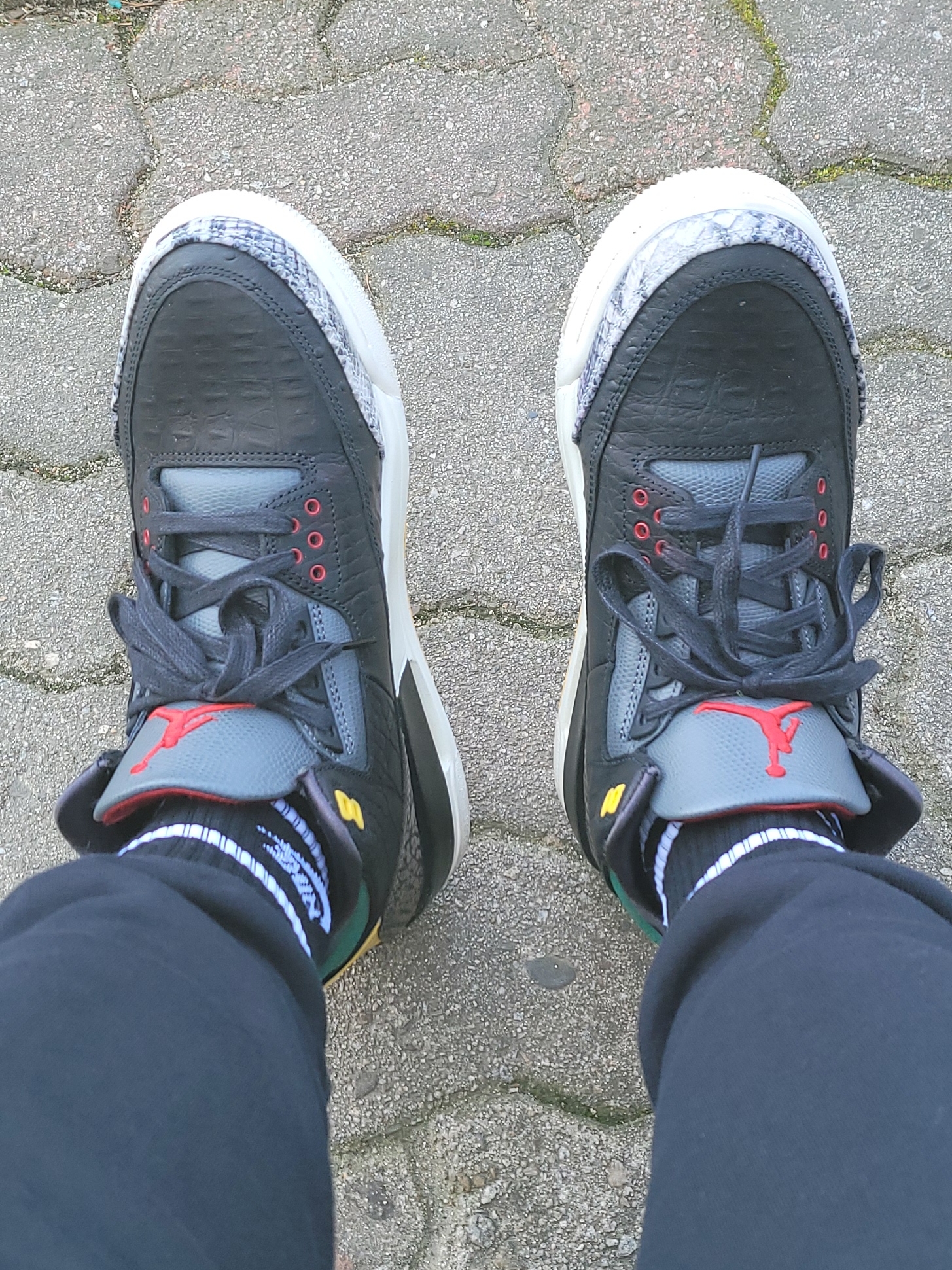 Jordan 3 Retro SE Animal Instinct 2.0 착용 스타일 - 1