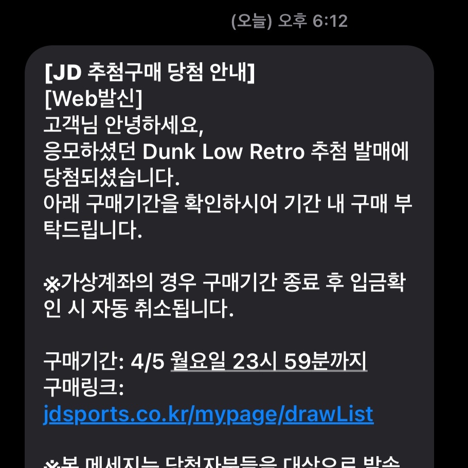 Nike Dunk Low Retro Black, (W) Nike Dunk Low Black 착용 스타일 - 2