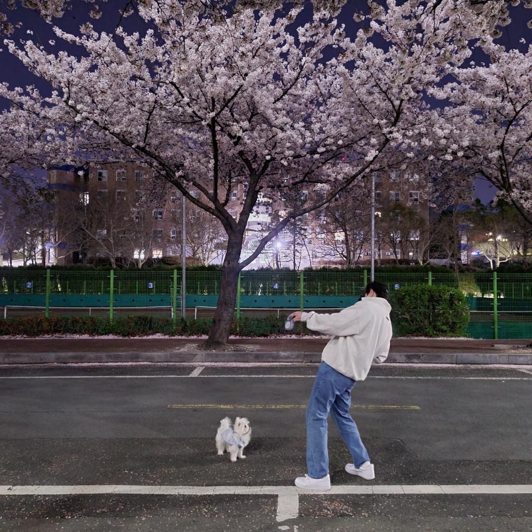 Essentials Half-Zip Pullover Oatmeal/Oatmeal Heather/Light Heather Oatmeal 2020, Nike Air Force 1 '07 Low White 착용 스타일 - 1