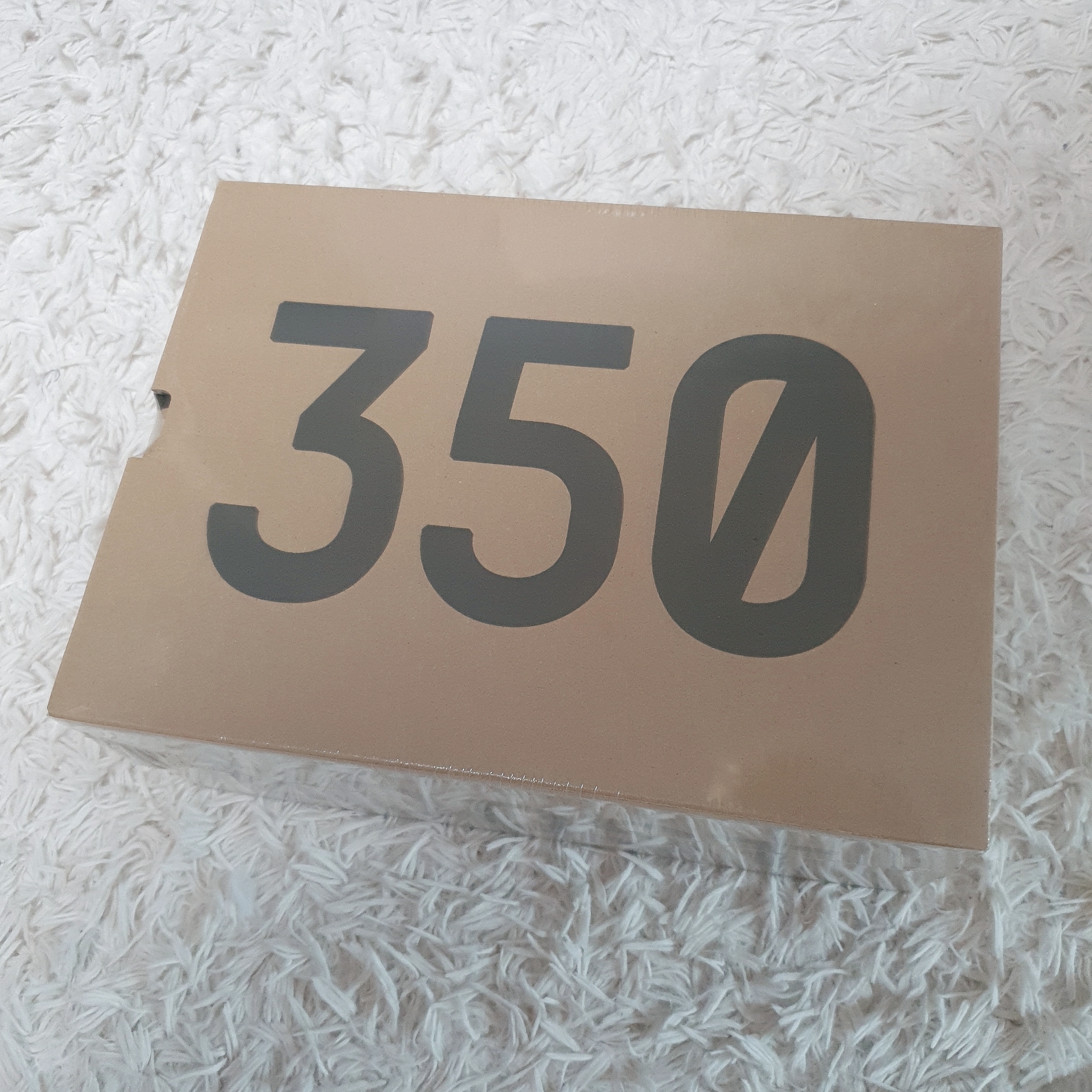 Adidas Yeezy Boost 350 V2 Ash Pearl 착용 스타일 - 2
