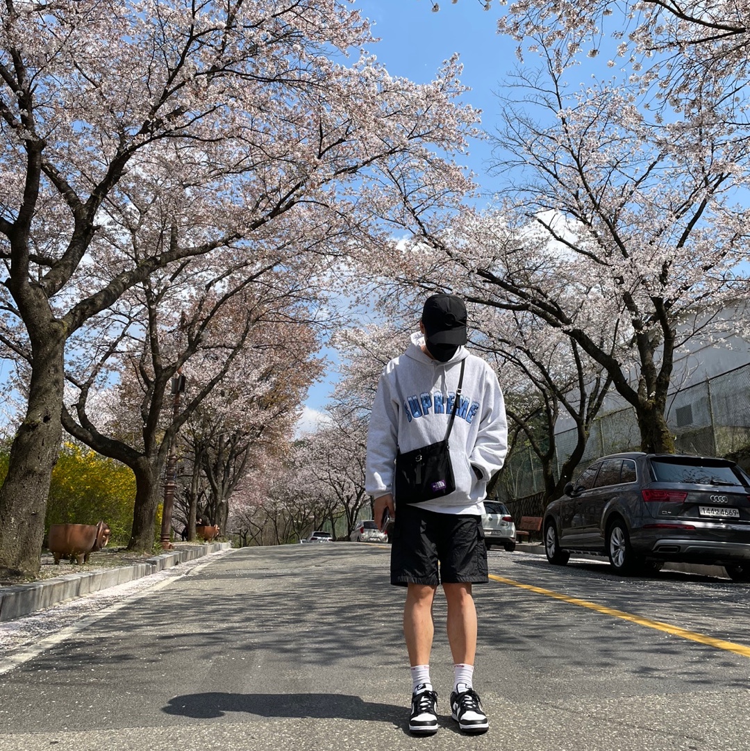 Nike Dunk Low Retro Black, Supreme Icy Arc Hooded Sweatshirt Ash Grey - 20FW 착용 스타일