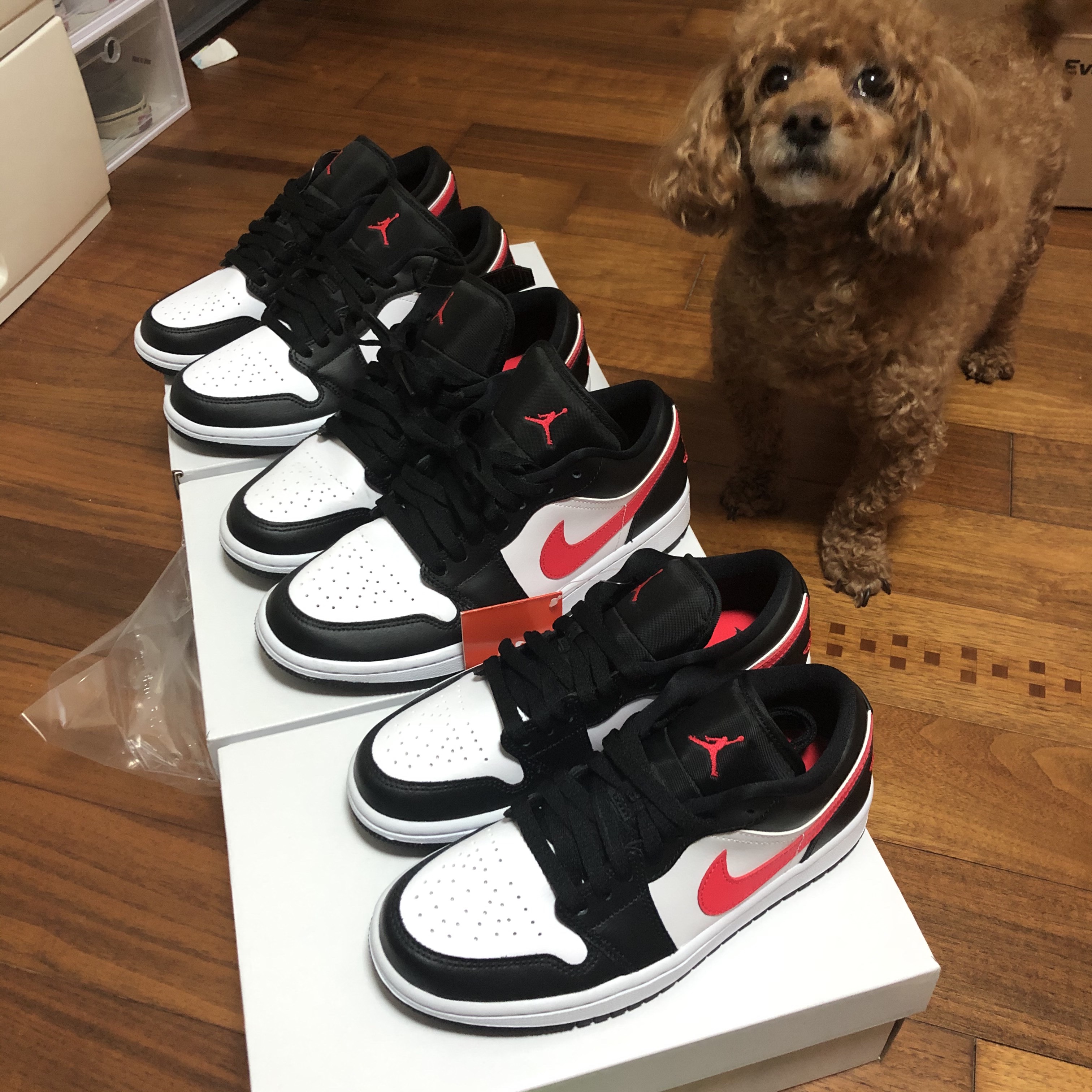 (W) Jordan 1 Low Black Siren Red 착용 스타일