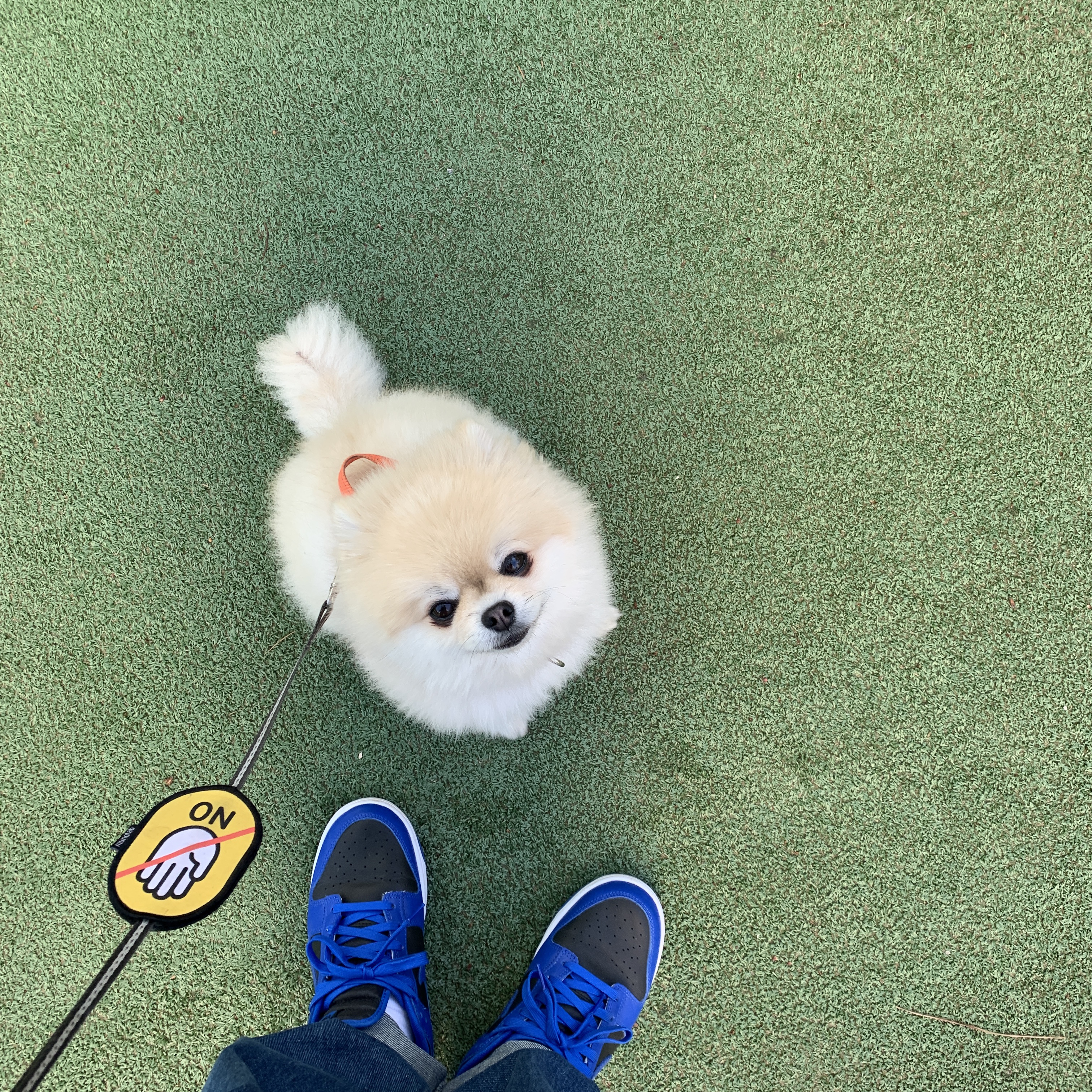 Nike Dunk Low Retro Hyper Cobalt 착용 스타일