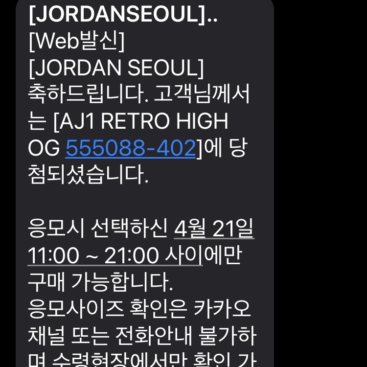Jordan 1 Retro High OG Hyper Royal 착용 스타일