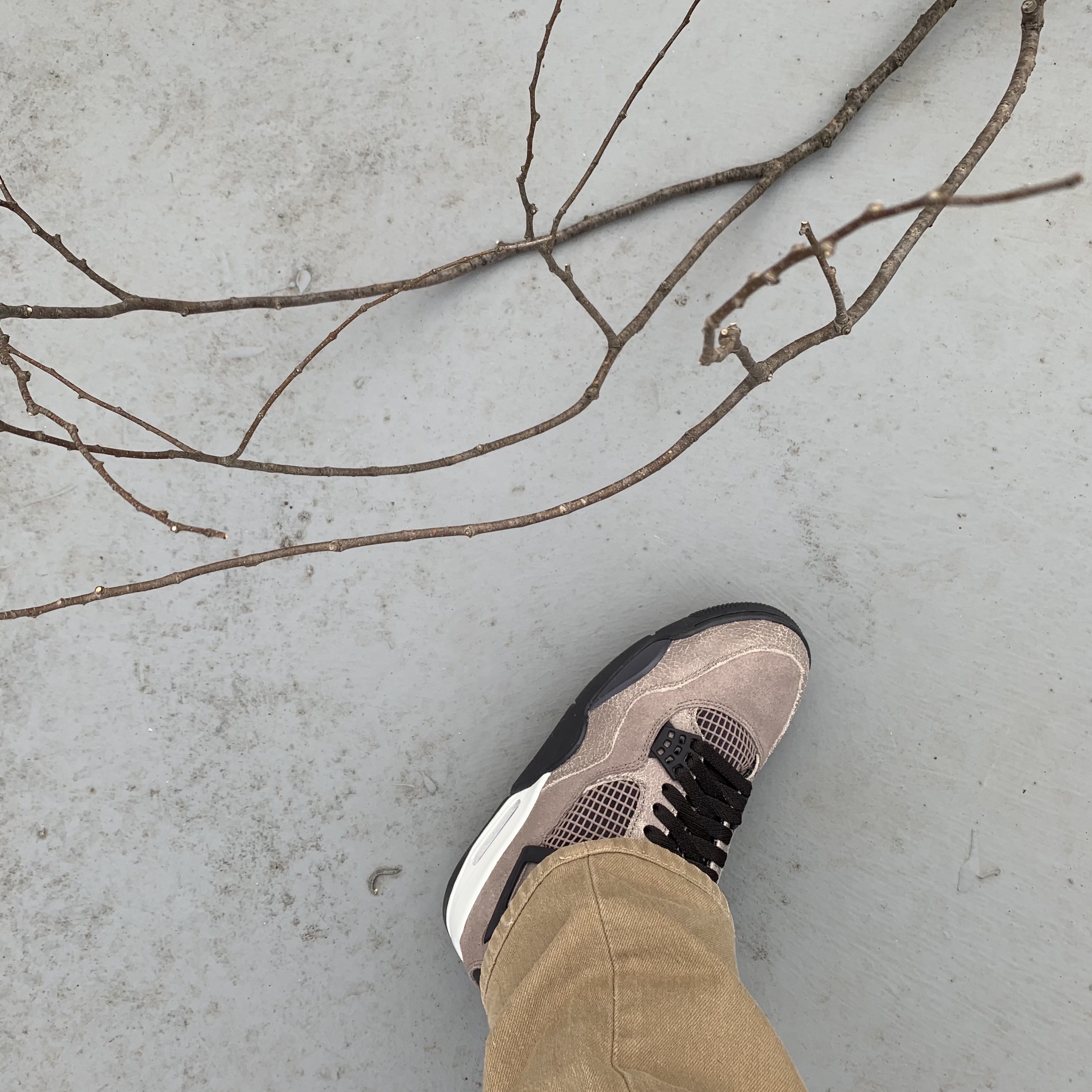 Jordan 4 Retro Taupe Haze 착용 스타일
