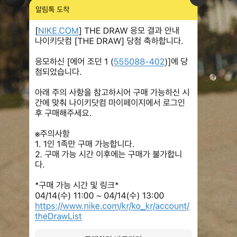 Jordan 1 Retro High OG Hyper Royal 착용 스타일