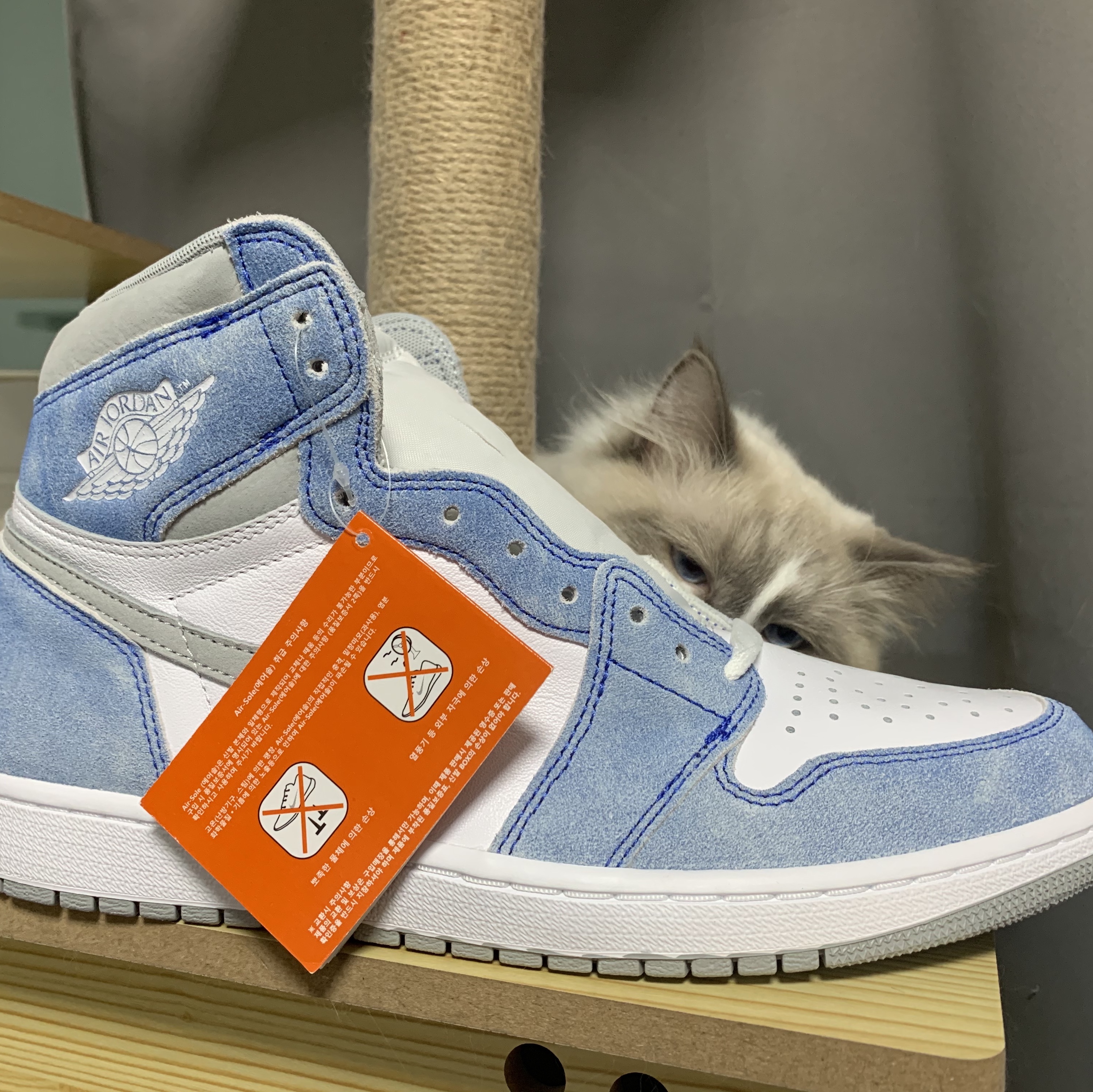 Jordan 1 Retro High OG Hyper Royal, (W) Jordan 1 Retro High OG Silver Toe 착용 스타일 - 3