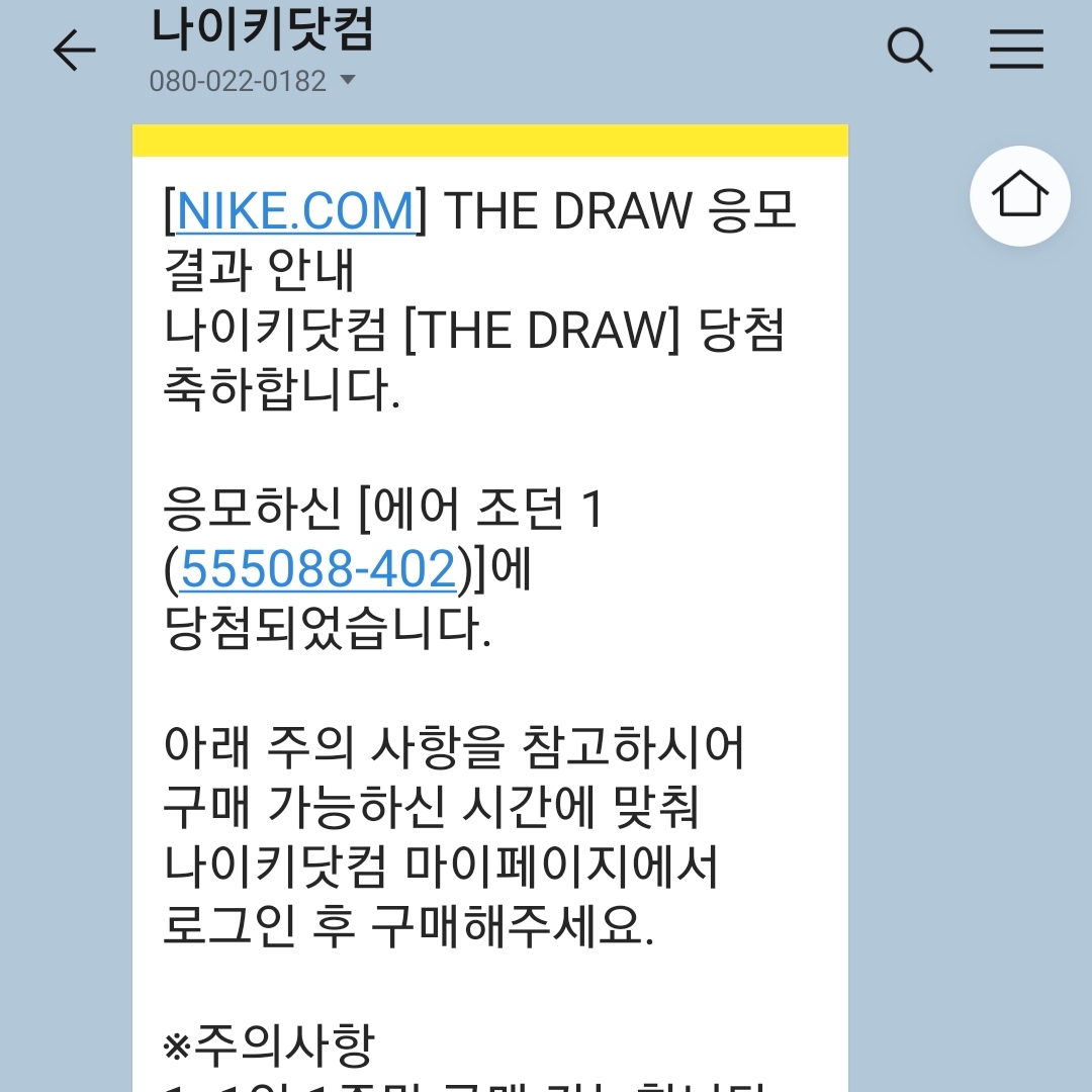 Jordan 1 Retro High OG Hyper Royal 착용 스타일