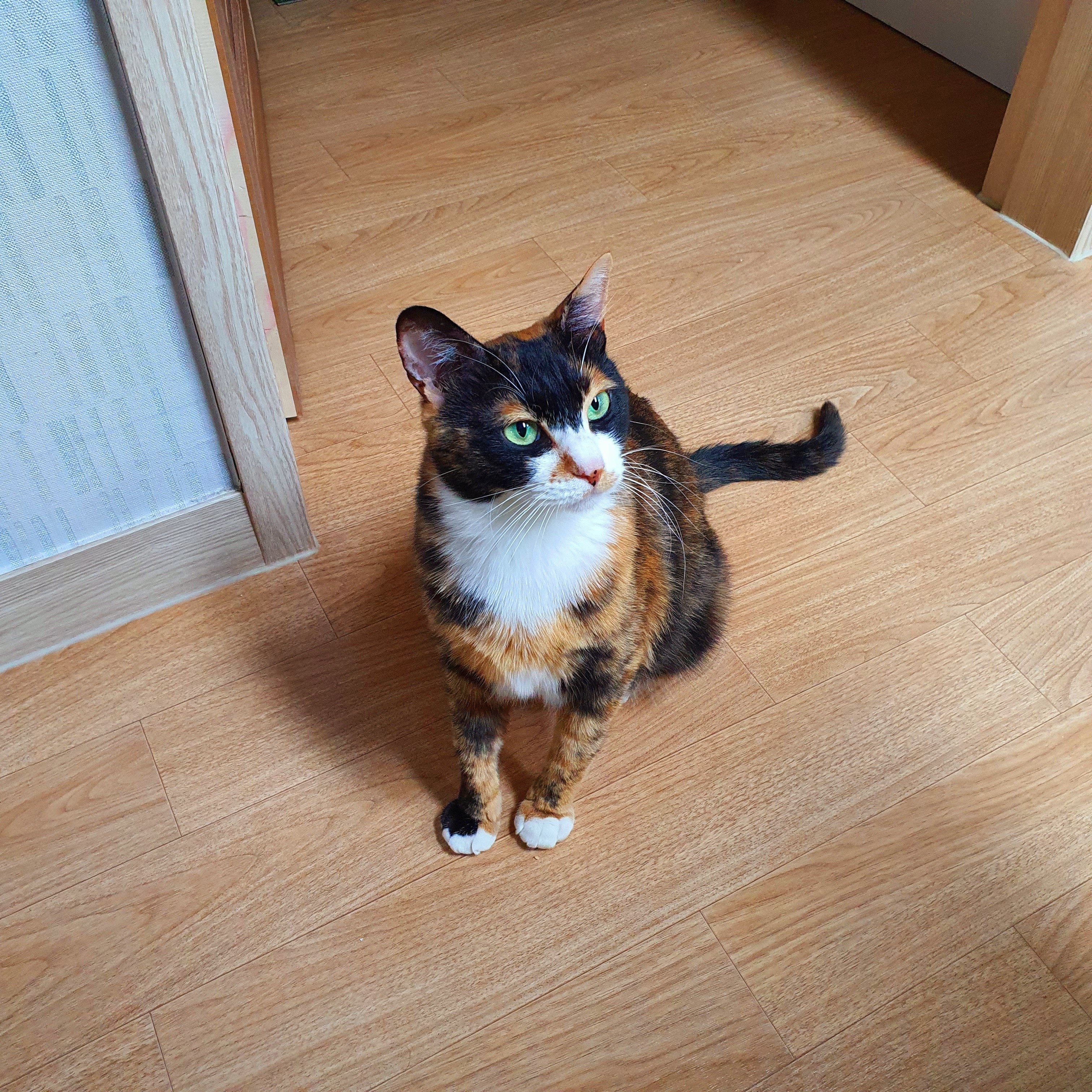 selly님의 스타일 - 1