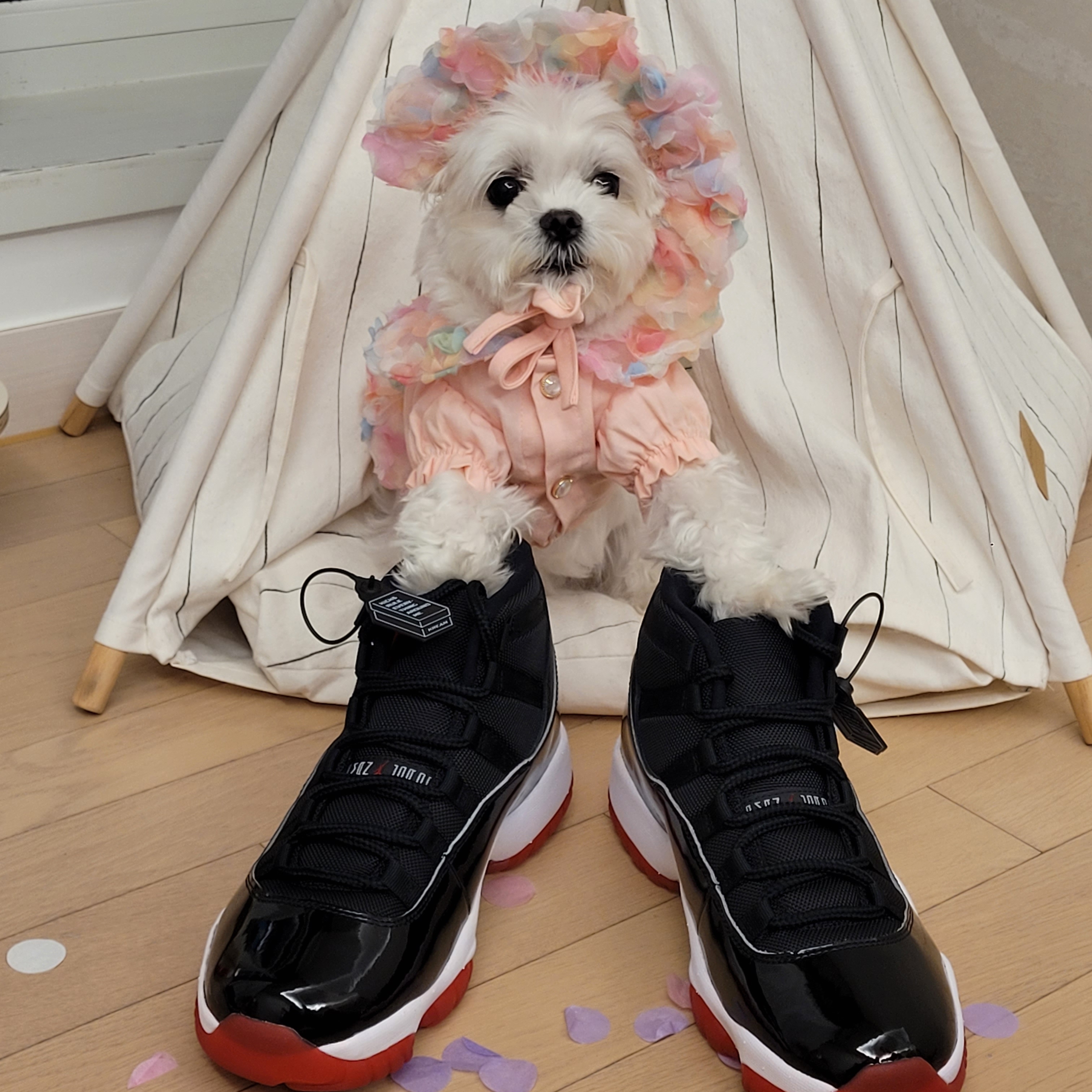 Jordan 11 Retro Bred 2019 착용 스타일 - 1