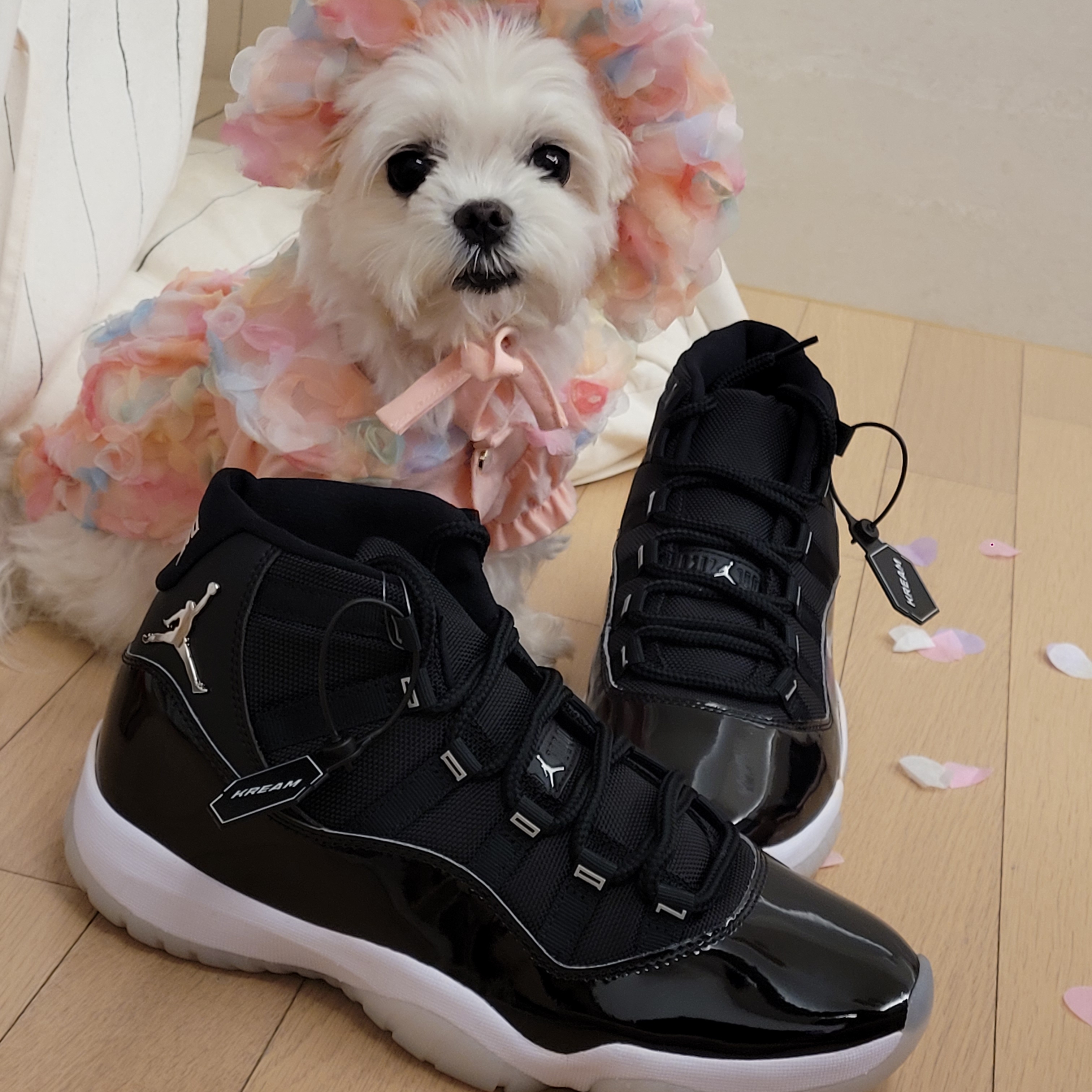 Jordan 11 Retro Jubilee 착용 스타일 - 2