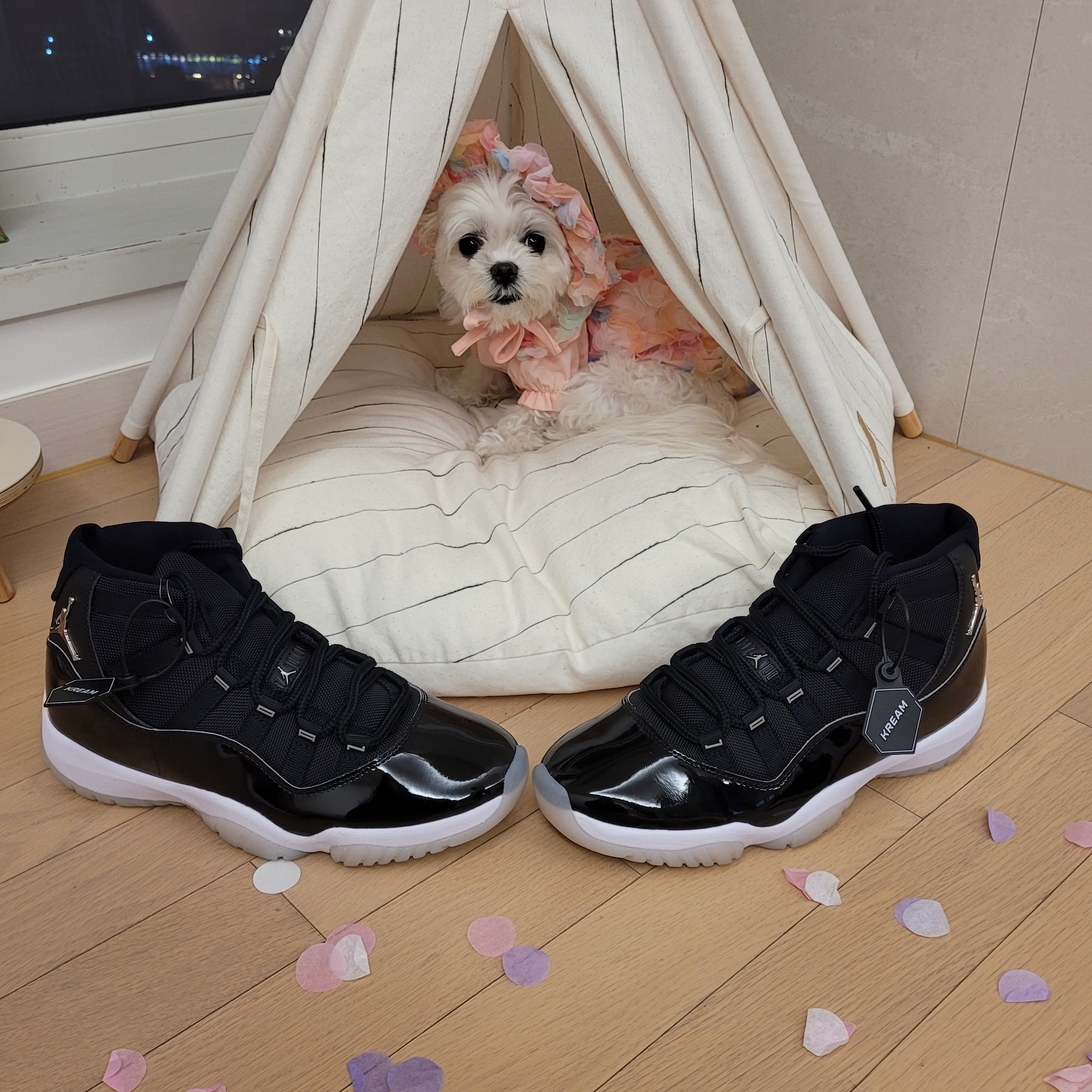Jordan 11 Retro Jubilee 착용 스타일 - 3