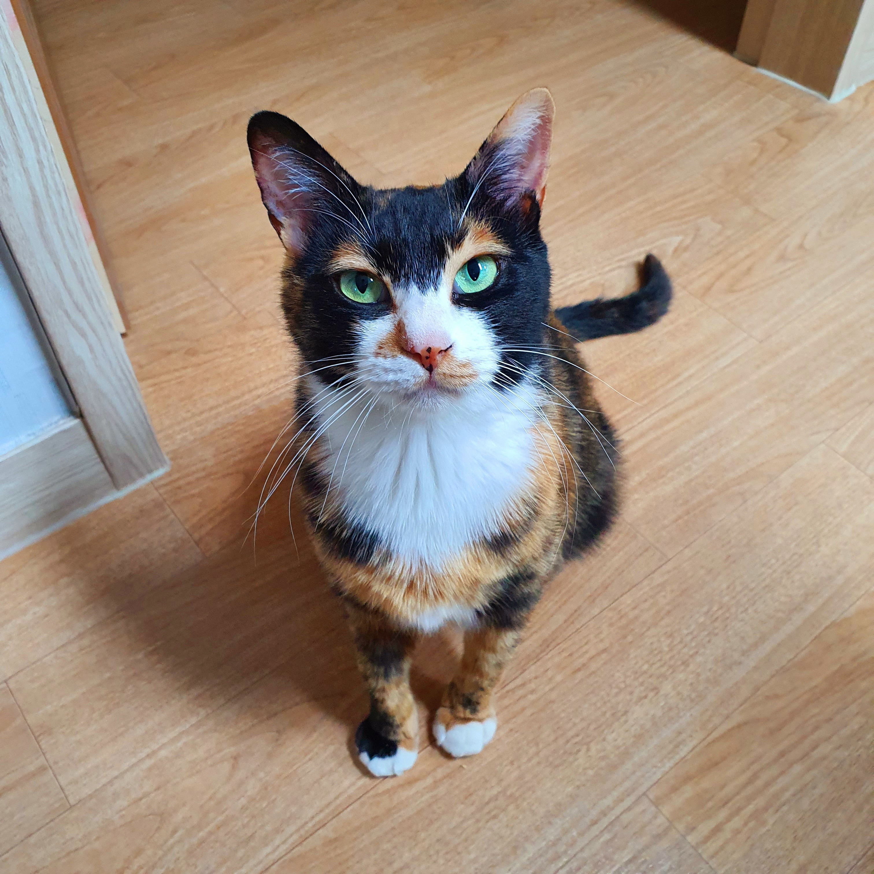 selly님의 스타일 - 2