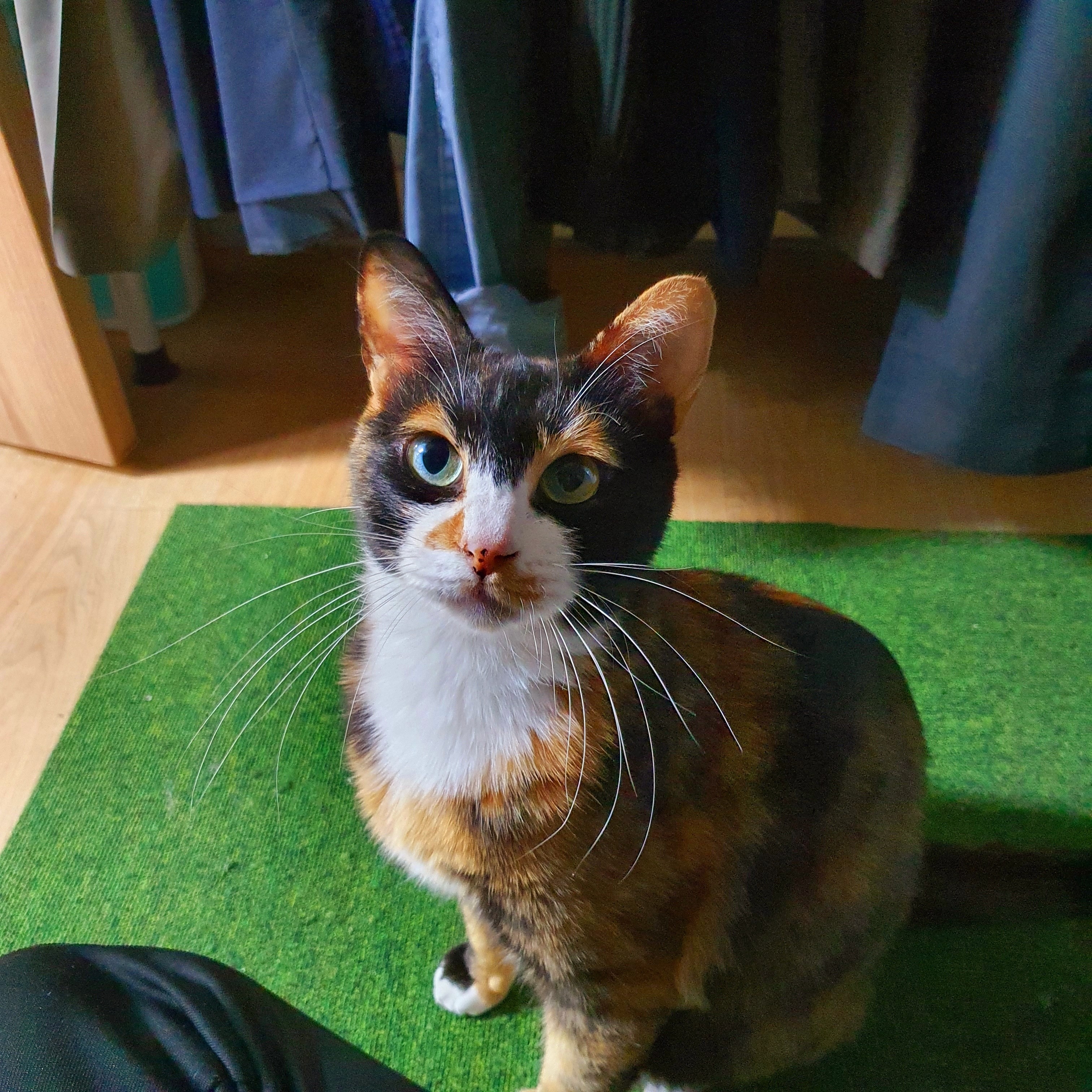 selly님의 스타일 - 5