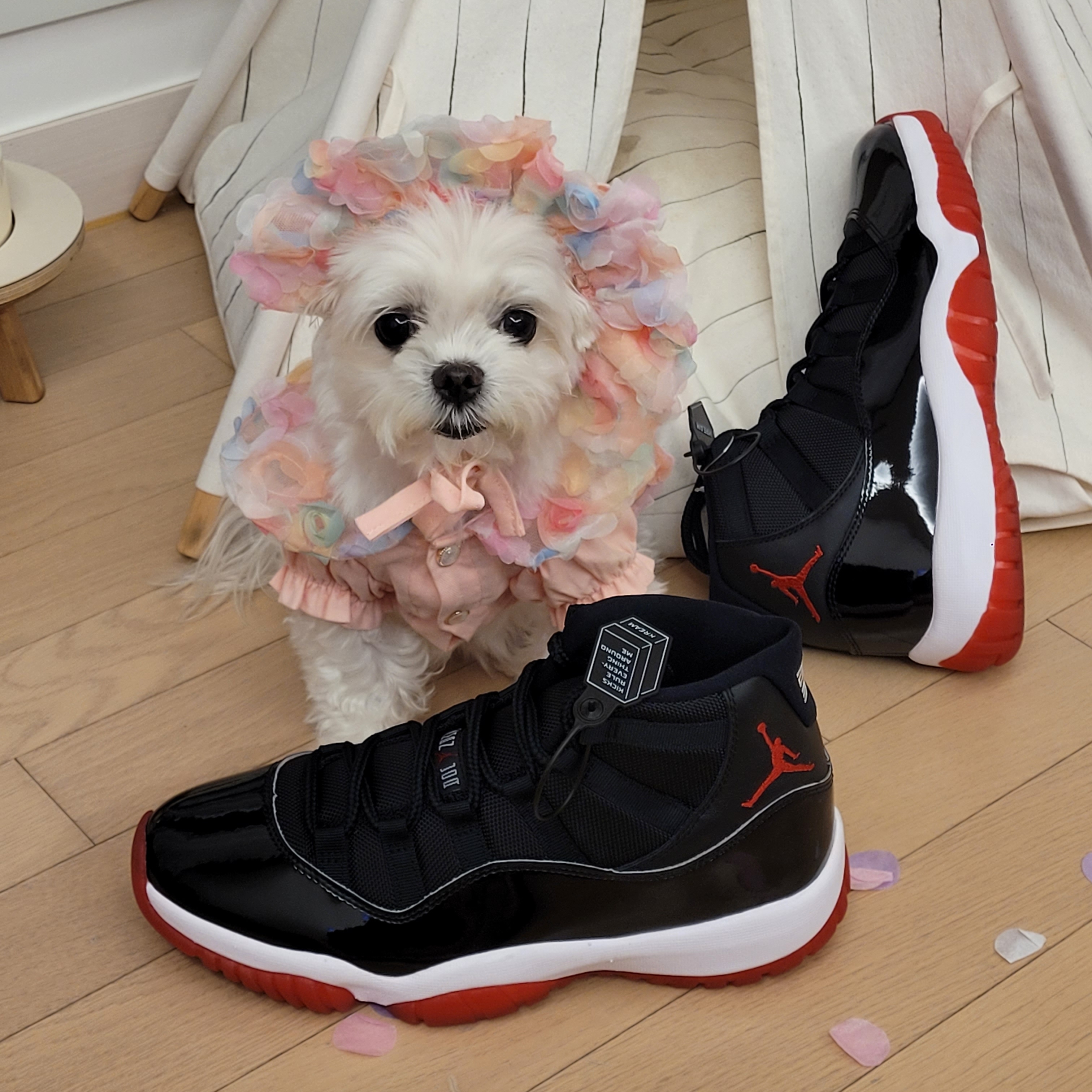 Jordan 11 Retro Bred 2019 착용 스타일 - 3