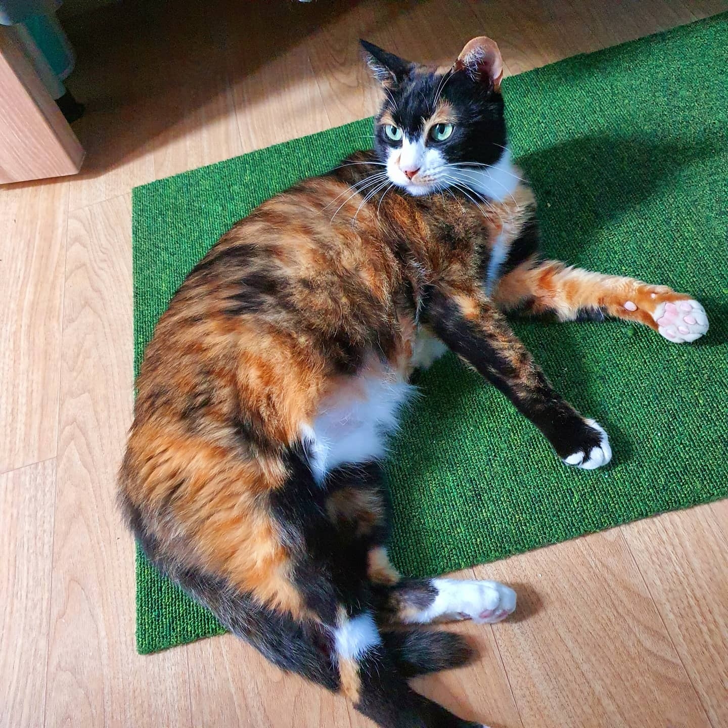 selly님의 스타일 - 3