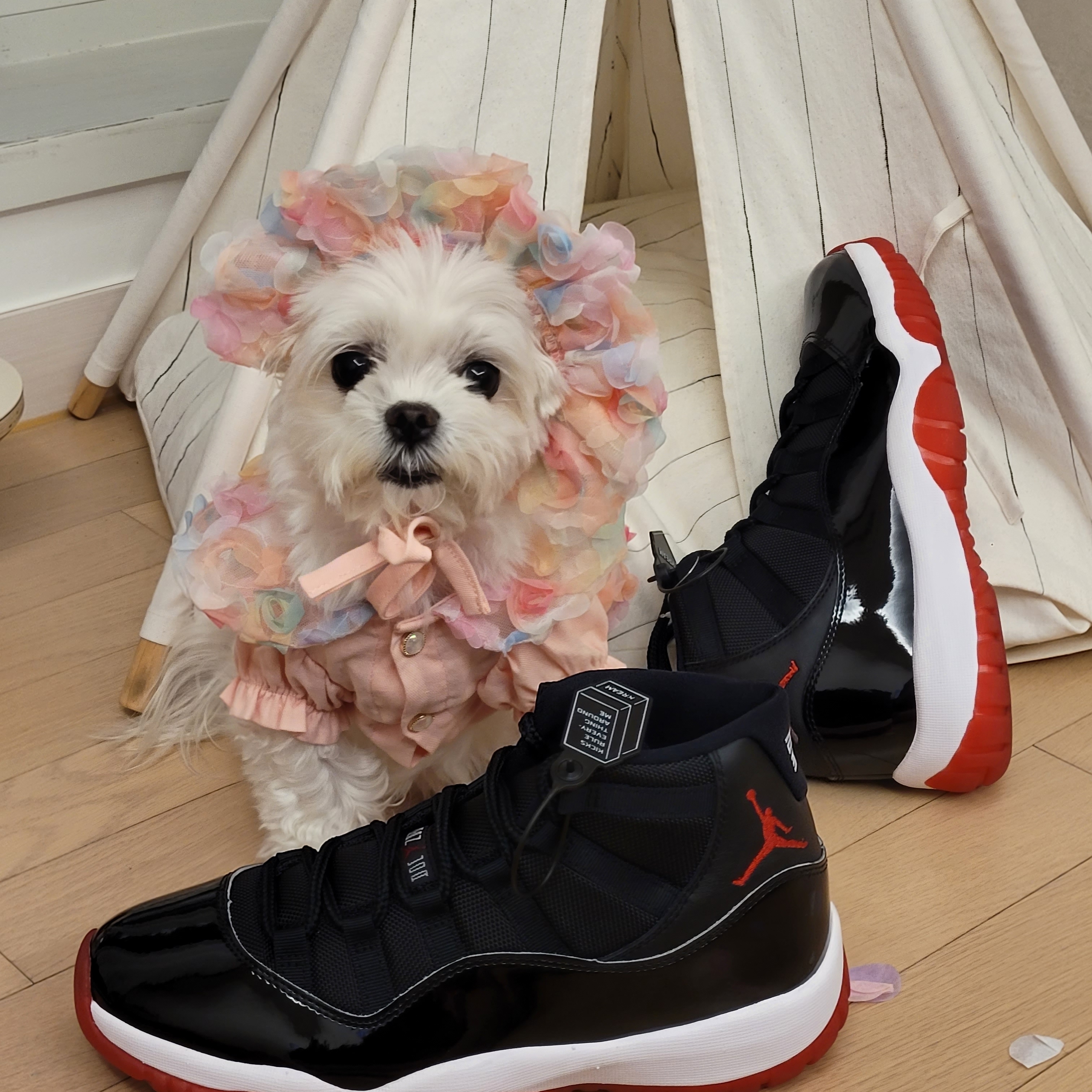 Jordan 11 Retro Bred 2019 착용 스타일 - 2