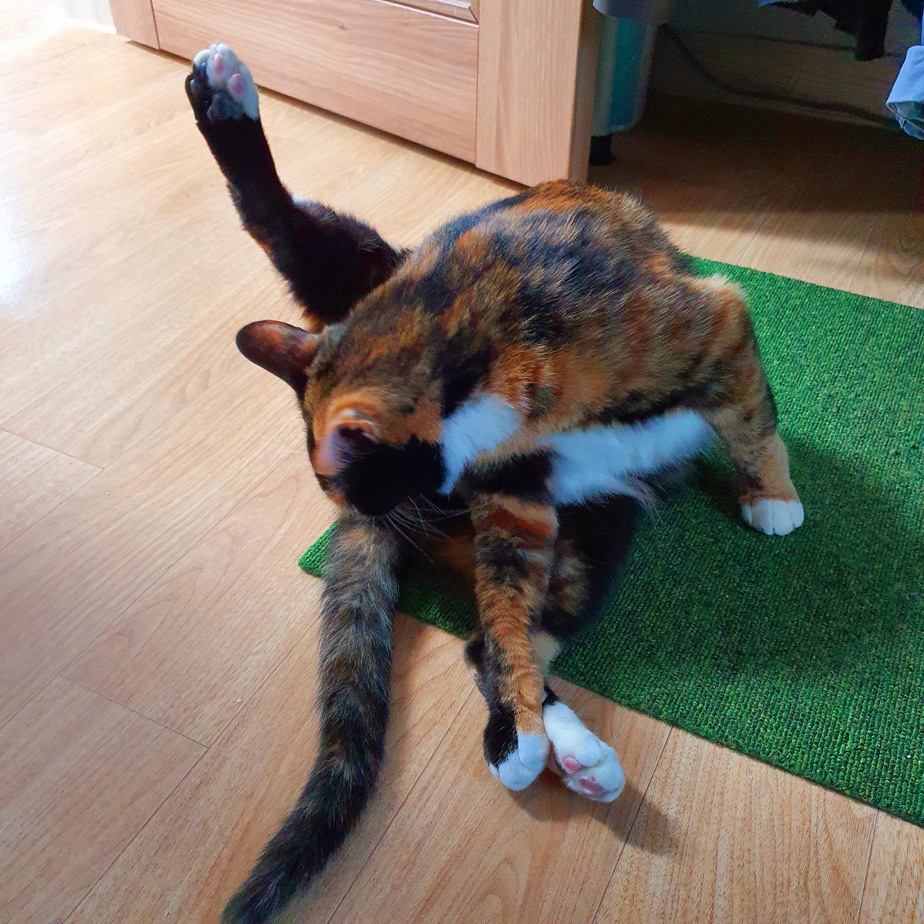 selly님의 스타일 - 4