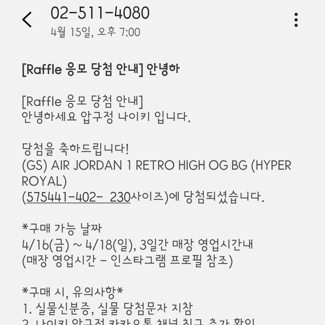 히아신스님의 스타일