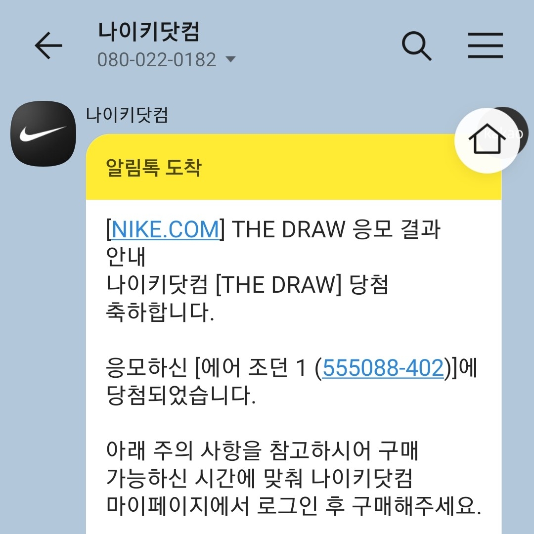 Jordan 1 Retro High OG Hyper Royal 착용 스타일