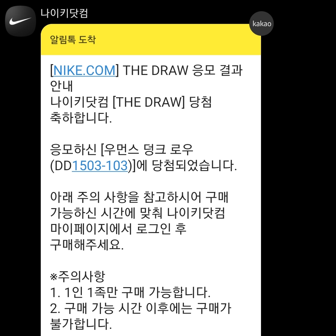 (W) Nike Dunk Low Photon Dust 착용 스타일